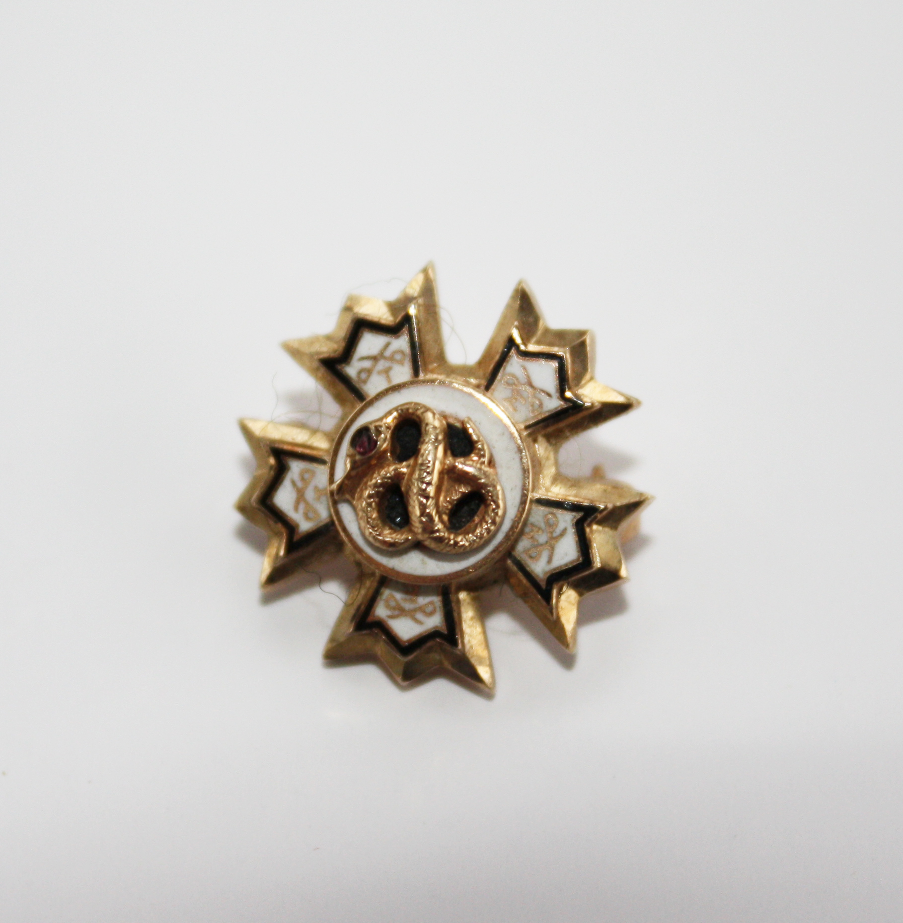 Vintage Fraternity 10K Gold Ring and Pins