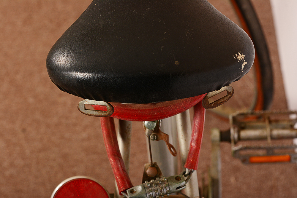 Azuki Road Bike Ten Speed