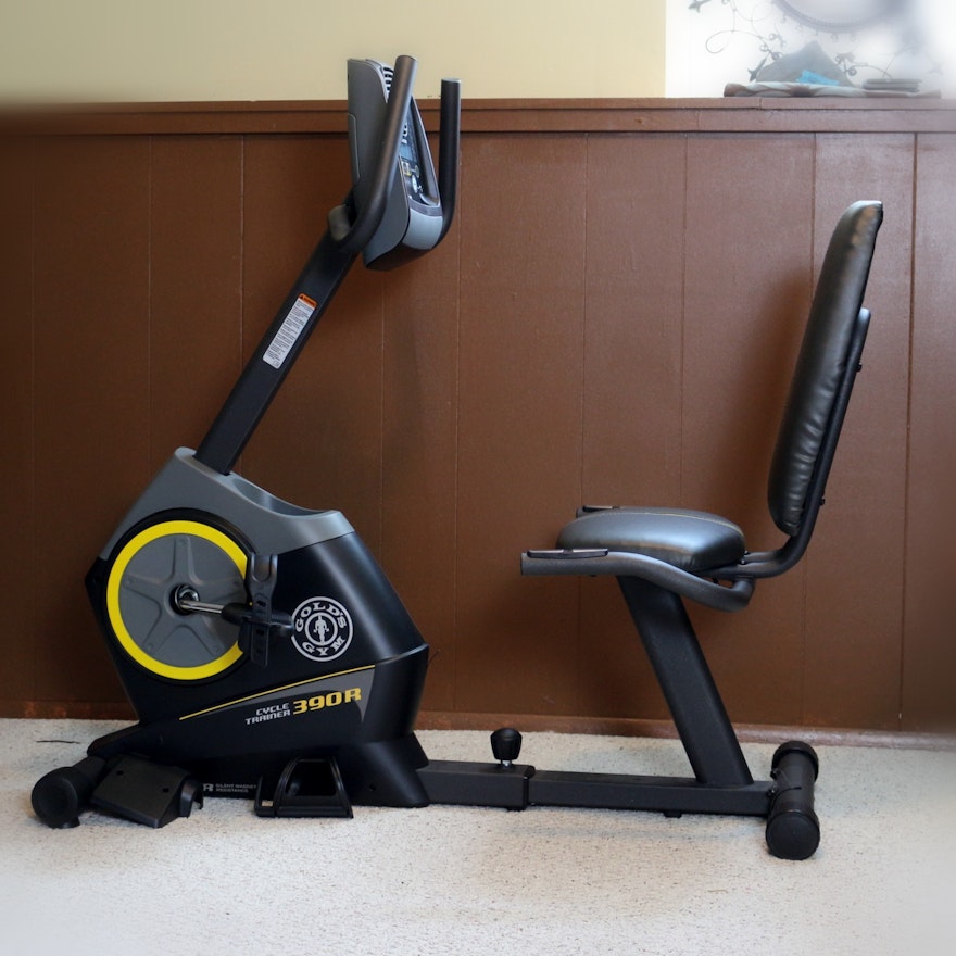Golds Gym 290c Cycle Trainer Manual Gym Recumbent Bike Gold's