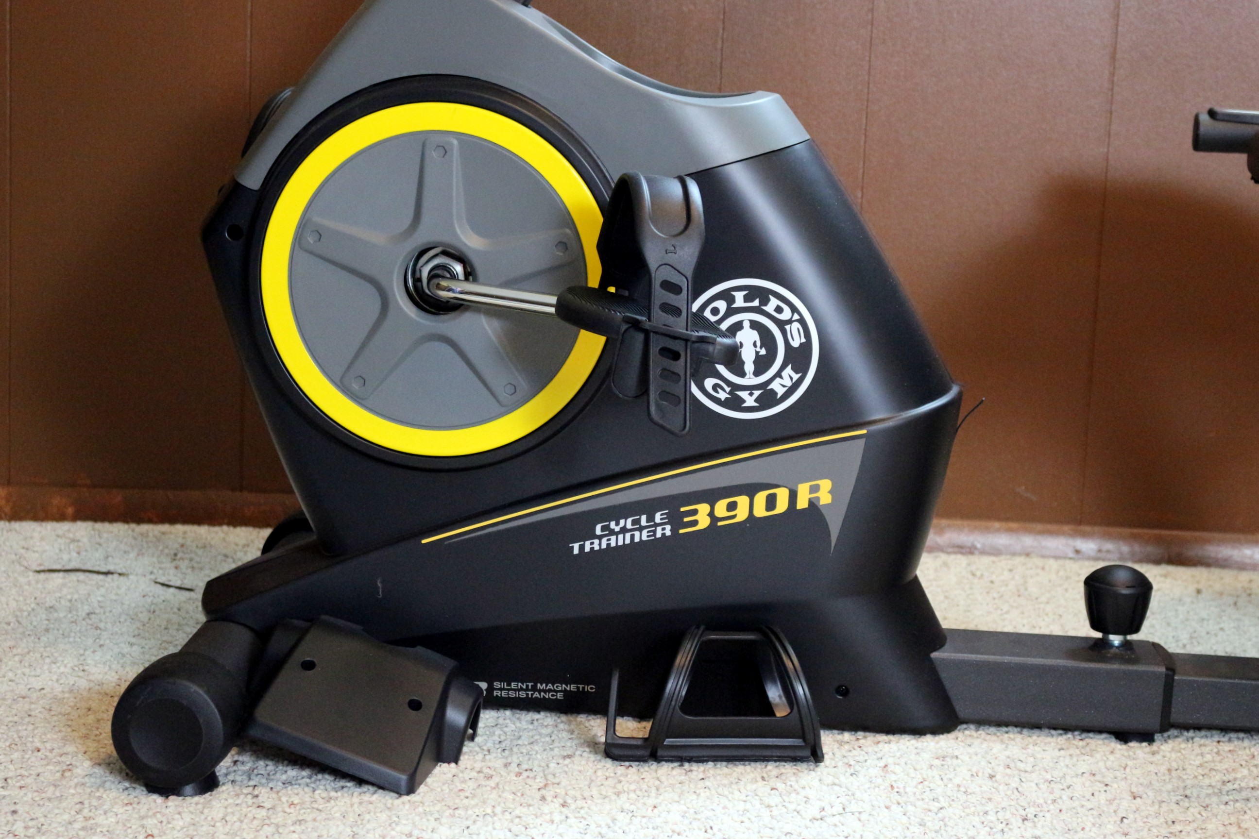 Gold's Gym 390R Cycle Trainer Recumbent Bike
