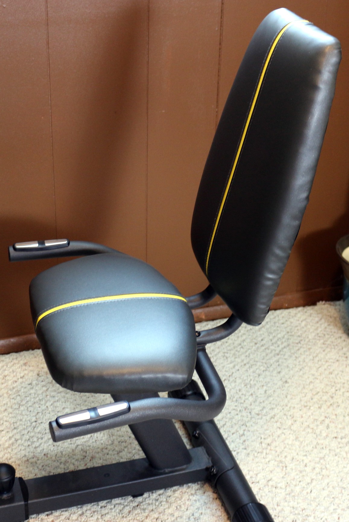 Gold's Gym 390R Cycle Trainer Recumbent Bike