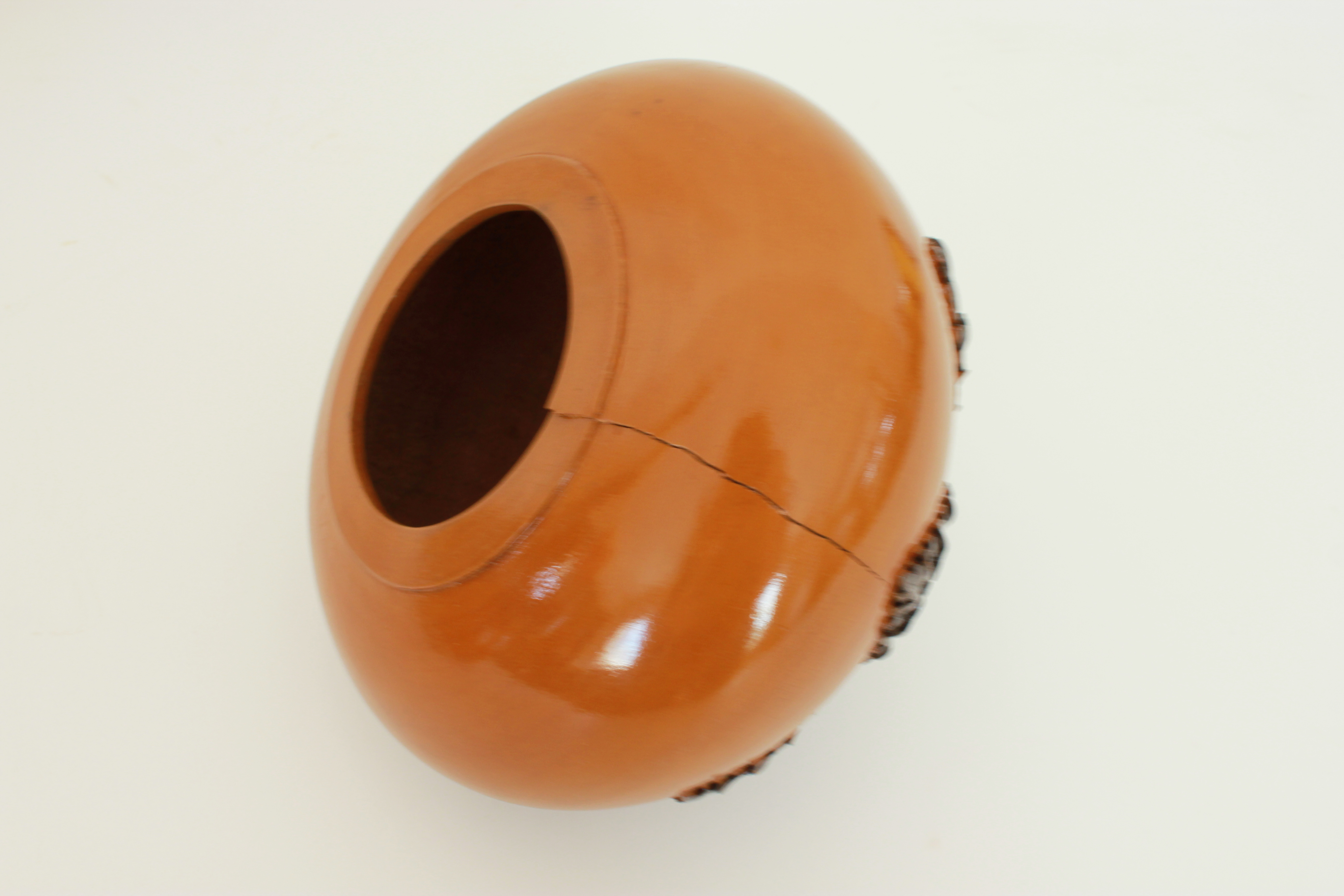 Bhargava & Co. Sitar