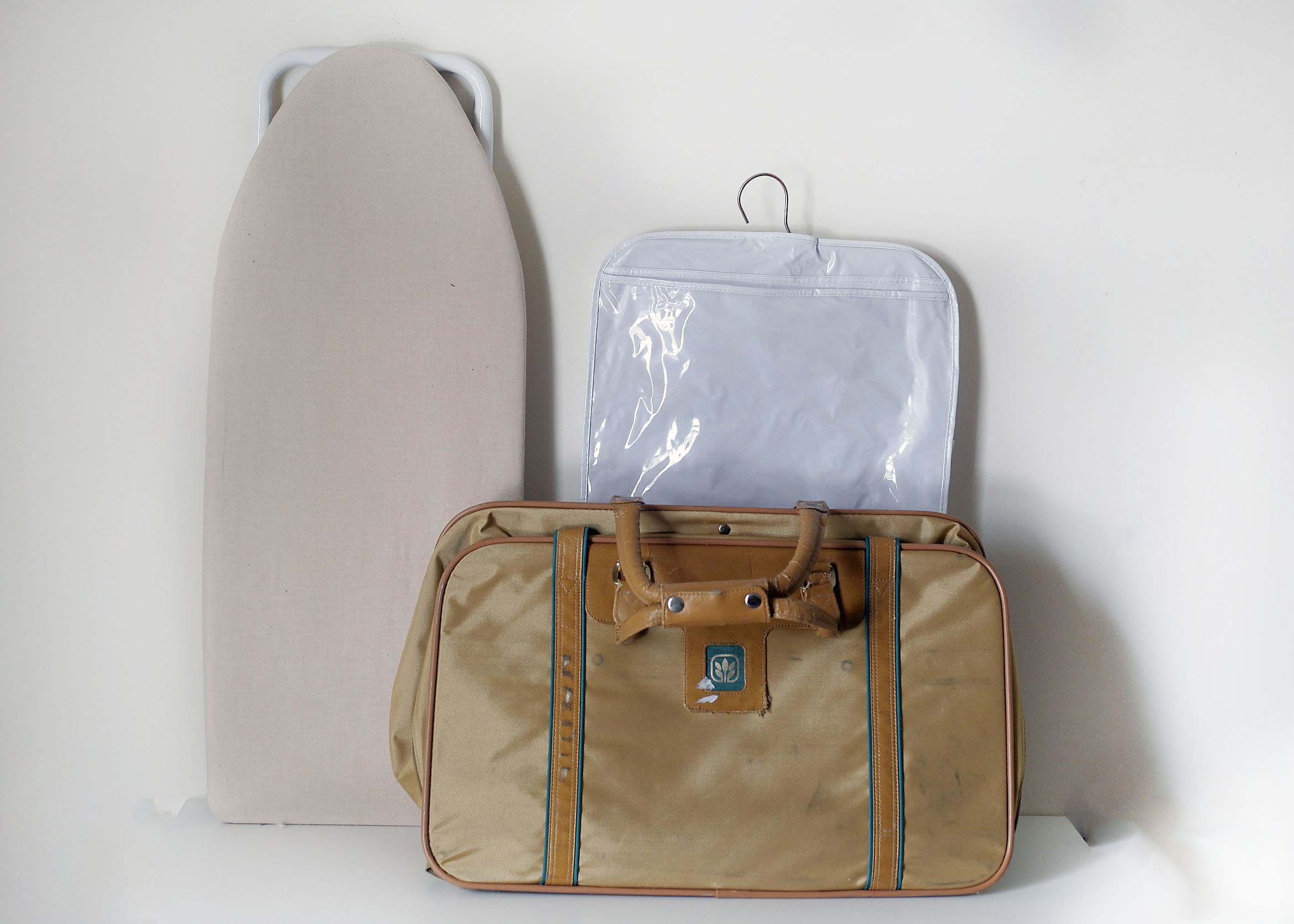 Euro-Pro Hand Vacuum