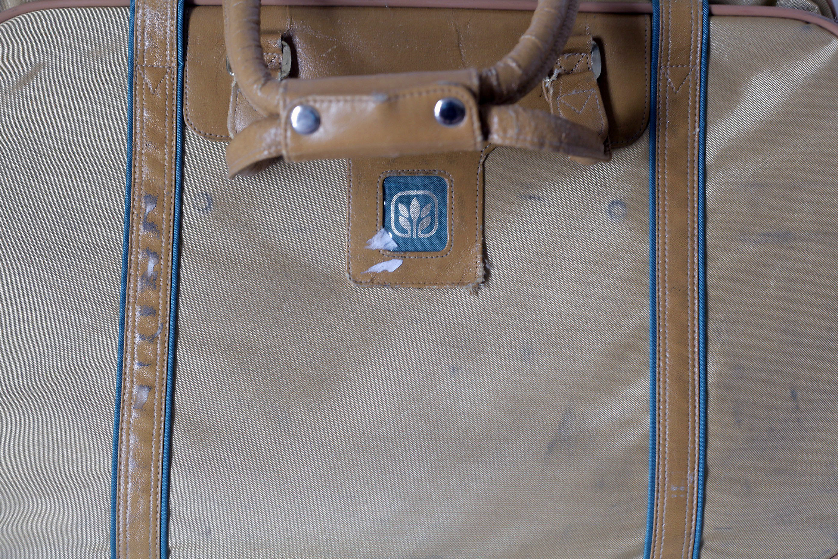 Euro-Pro Hand Vacuum