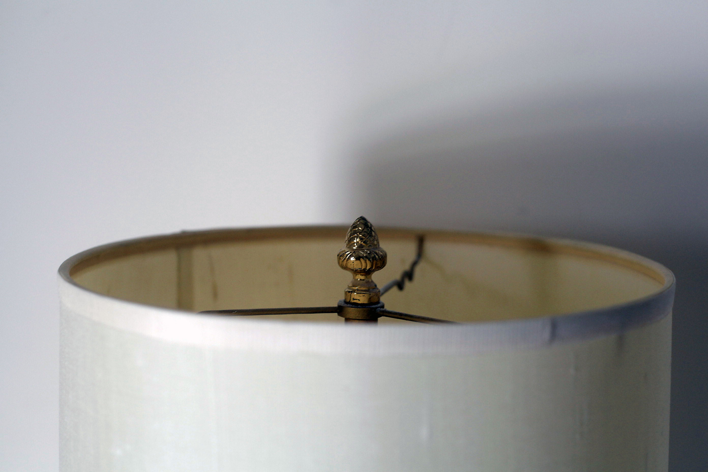 Euro-Pro Hand Vacuum