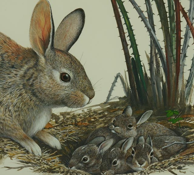 Limited Edition Photo Offset Lithograph of Ray Harm Watercolor