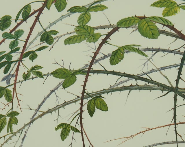 Limited Edition Photo Offset Lithograph of Ray Harm Watercolor