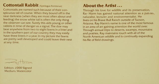 Limited Edition Photo Offset Lithograph of Ray Harm Watercolor