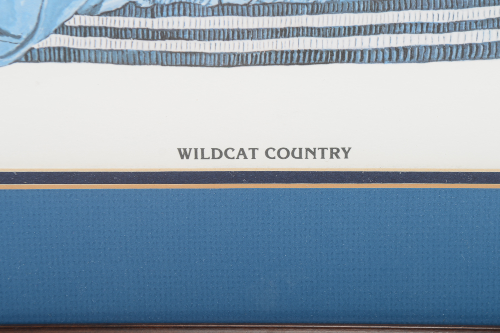 Jim Hamilton Signed and Numbered Framed UK Wildcat Print