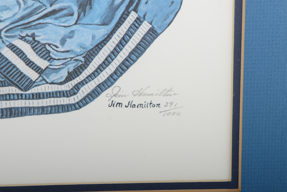 Jim Hamilton Signed and Numbered Framed UK Wildcat Print