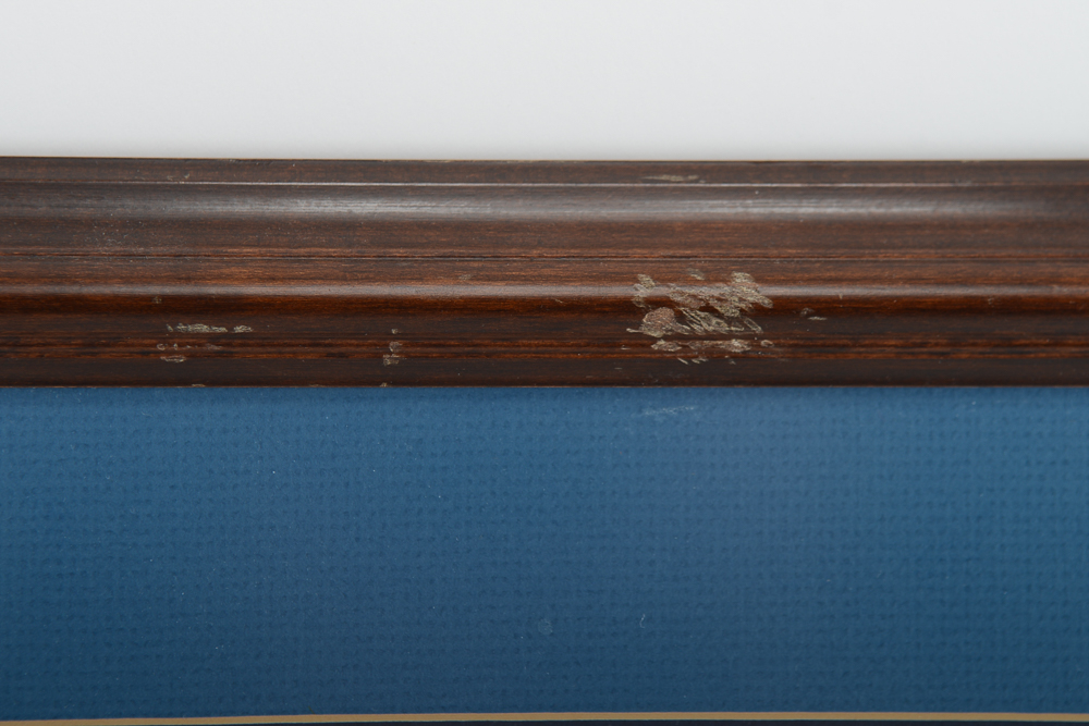 Jim Hamilton Signed and Numbered Framed UK Wildcat Print