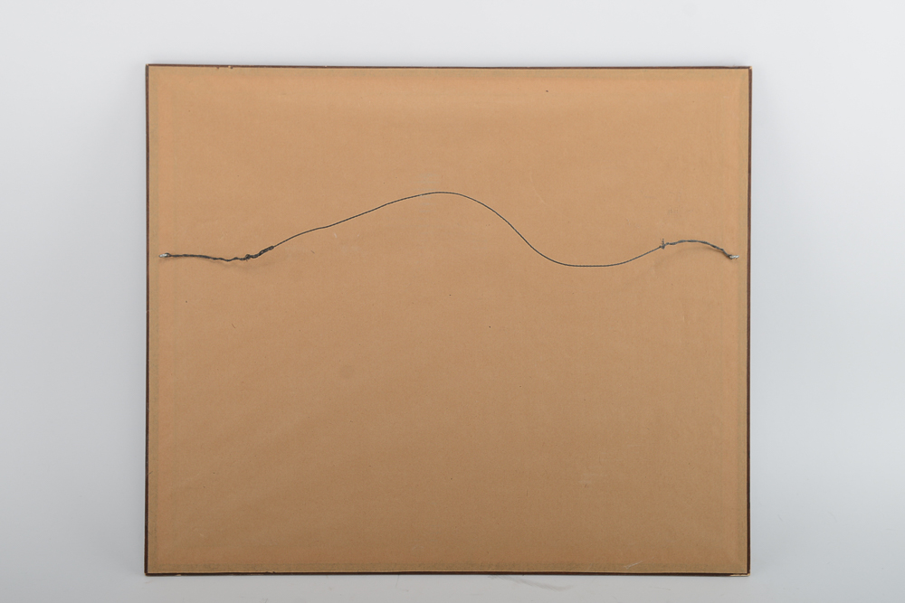 Jim Hamilton Signed and Numbered Framed UK Wildcat Print