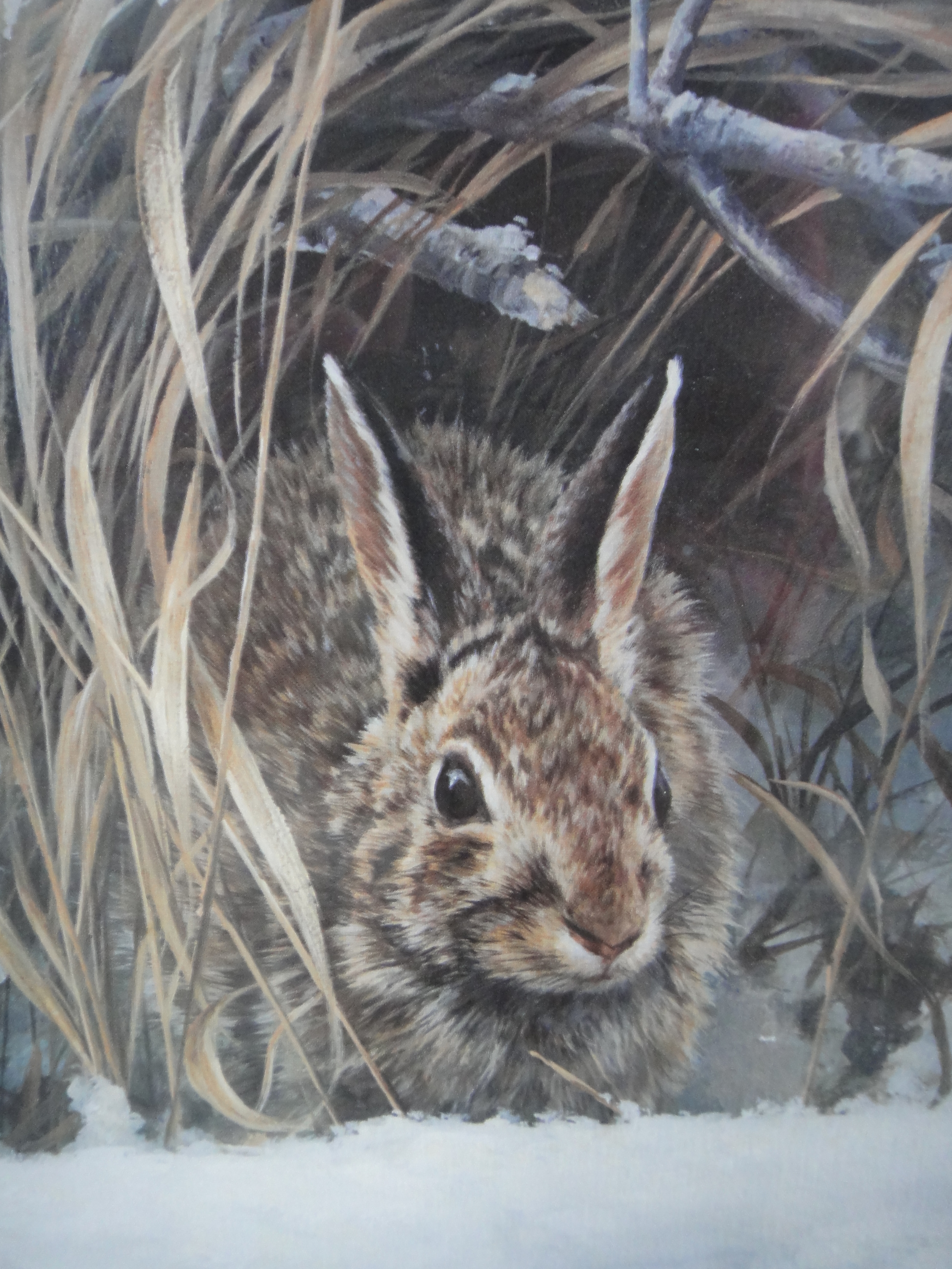 Rosemary Millette Limited Edition Artist Proof