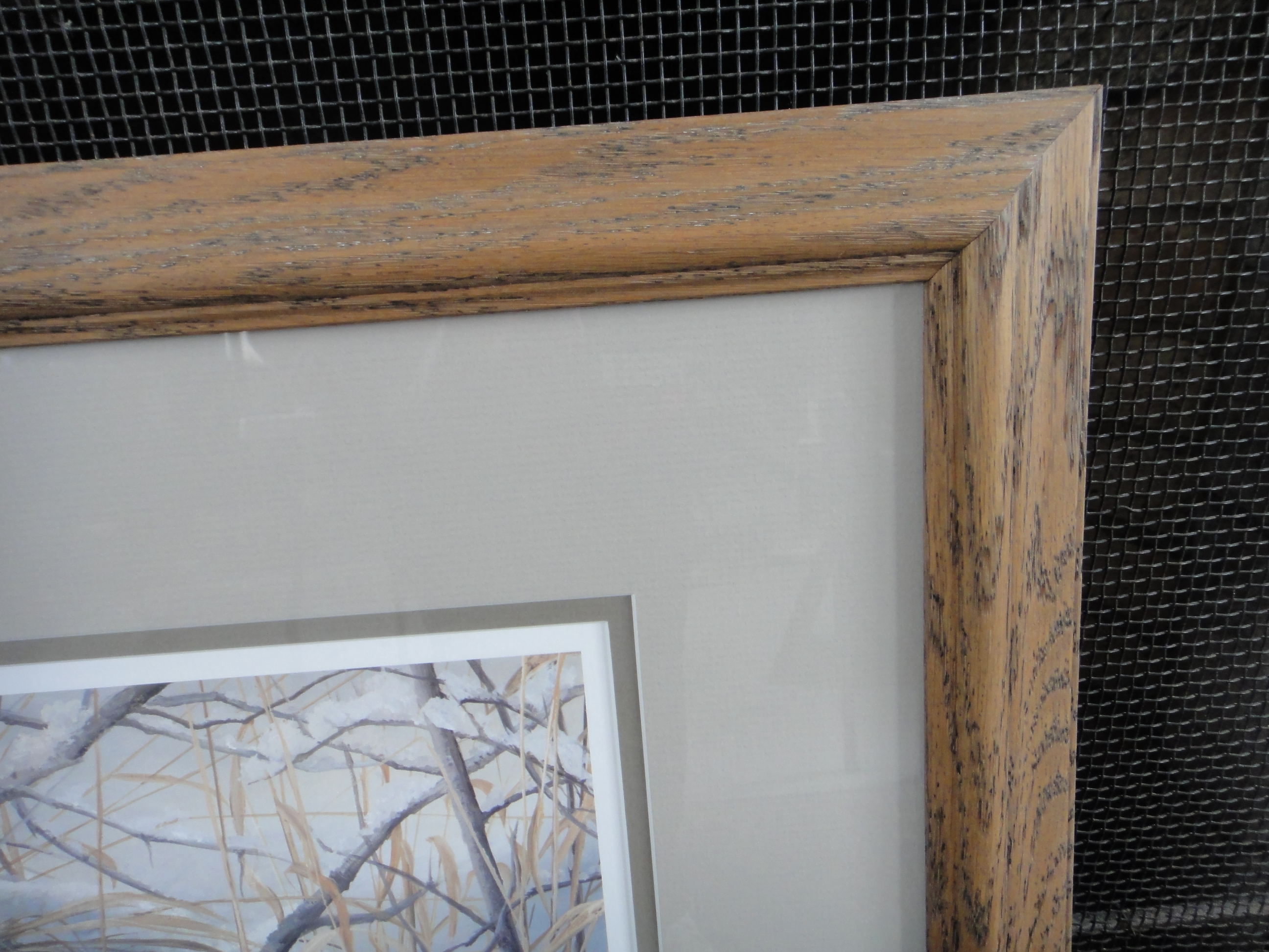 Rosemary Millette Limited Edition Artist Proof