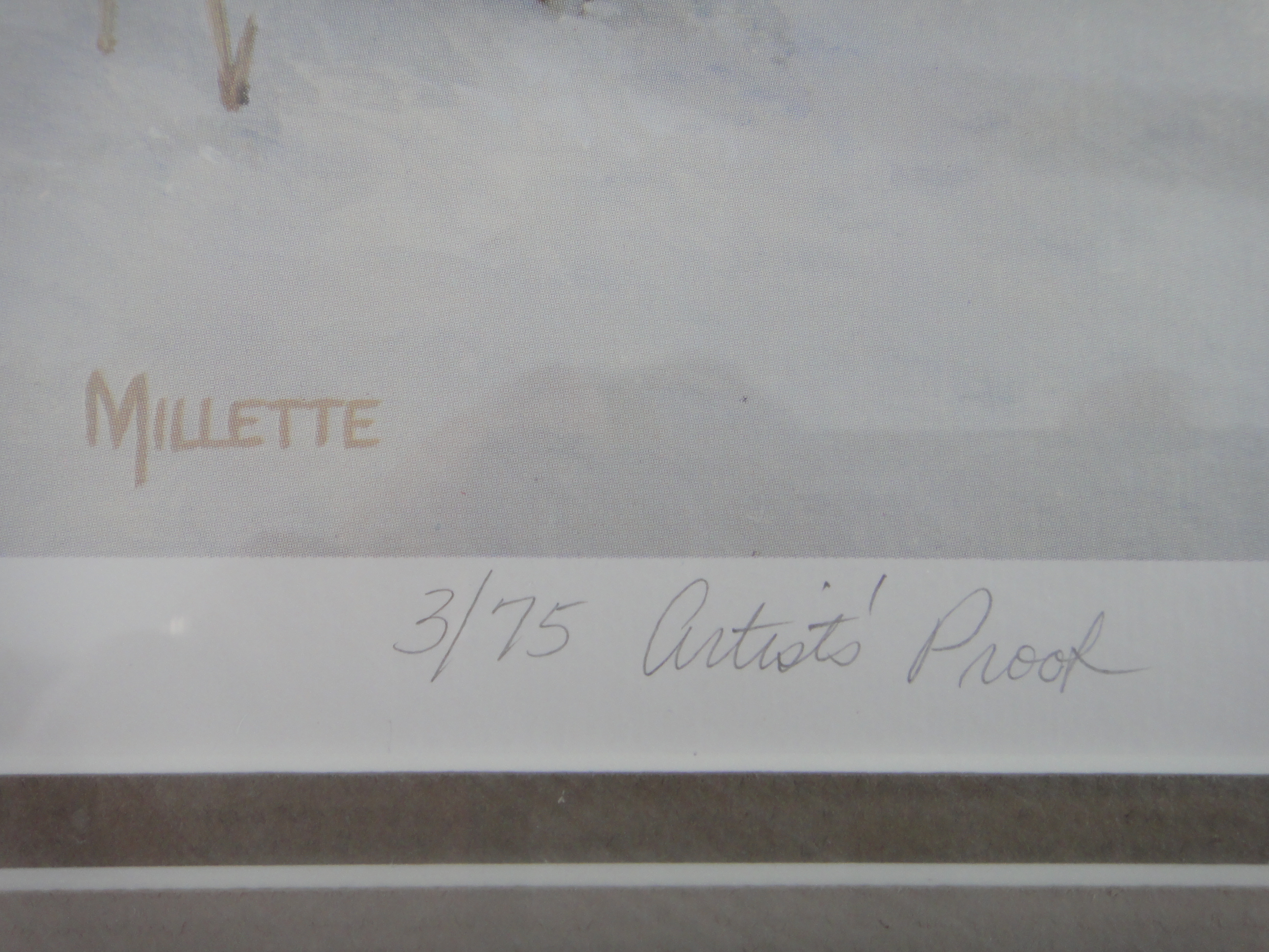 Rosemary Millette Limited Edition Artist Proof