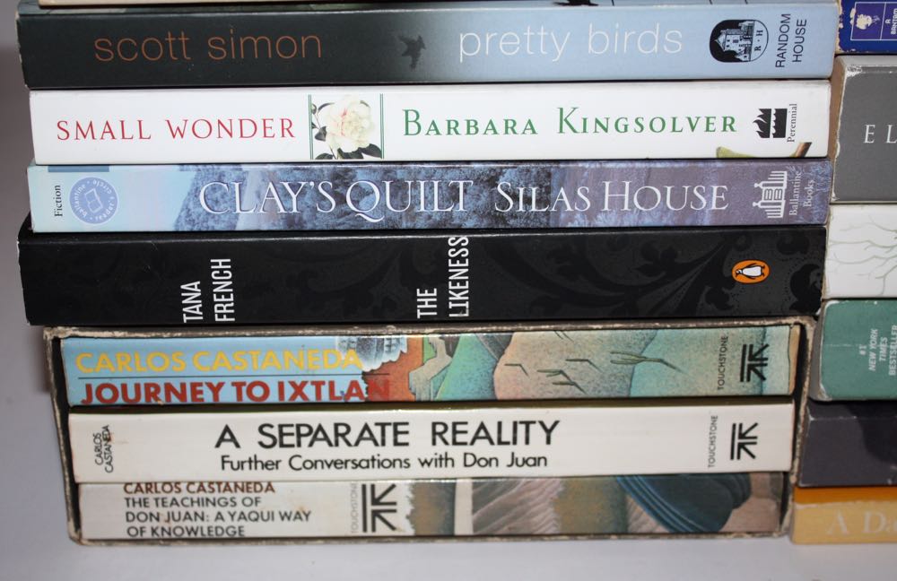 Collection of Modern Paperbacks