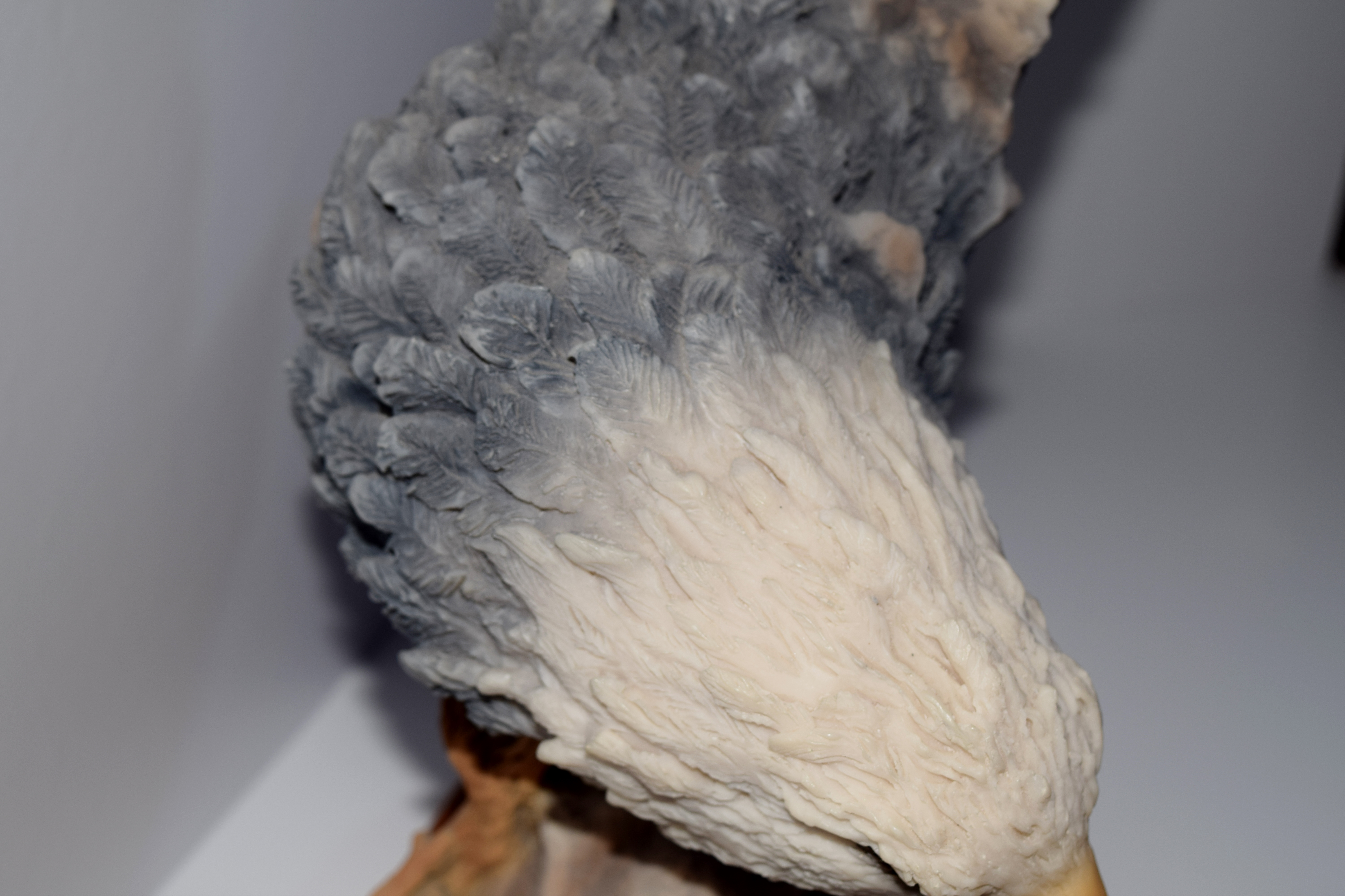 Limited Edition Sculpture "Spirit Messenger" by Randy Reading