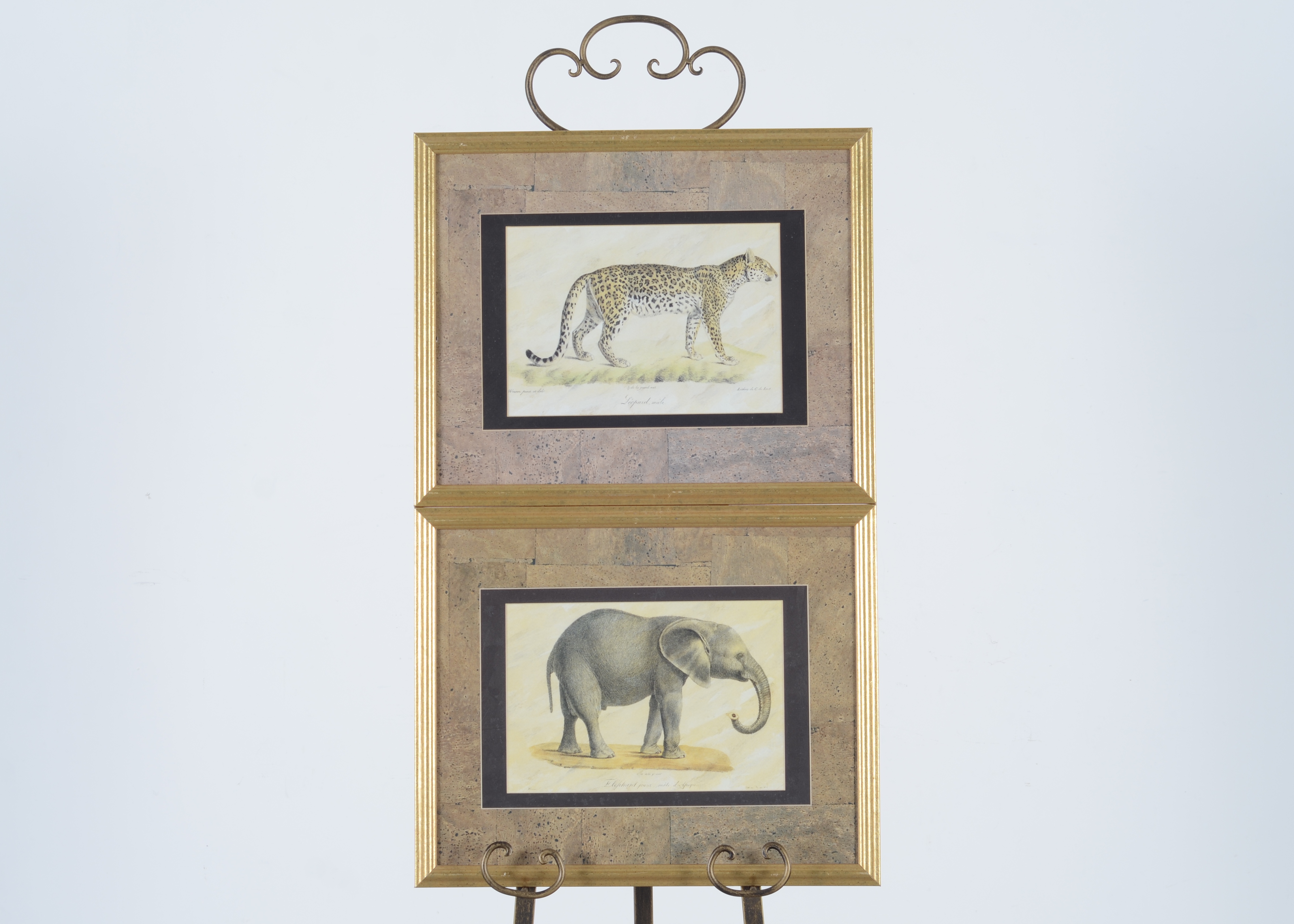 African Animal Print Pair