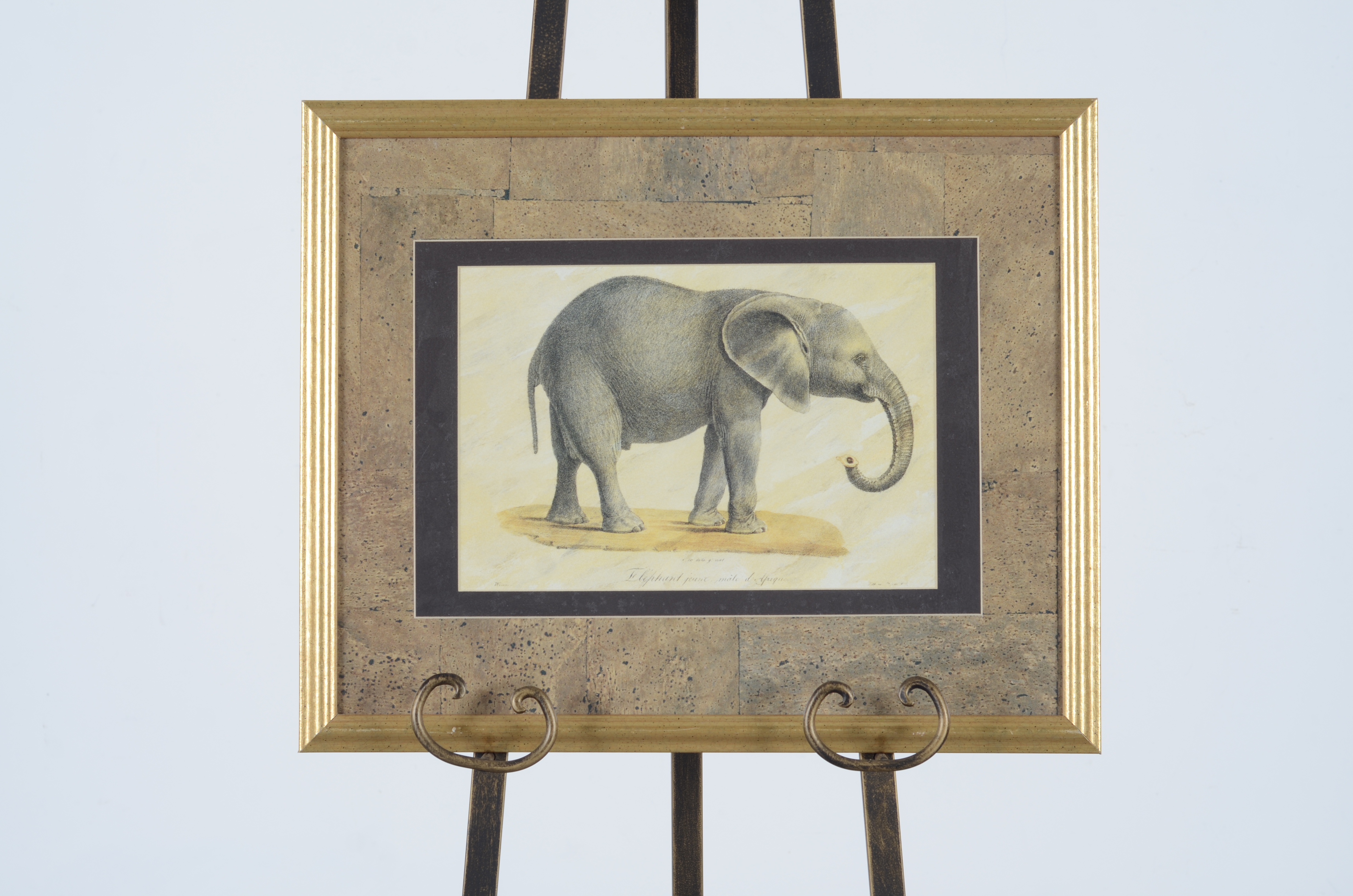 African Animal Print Pair