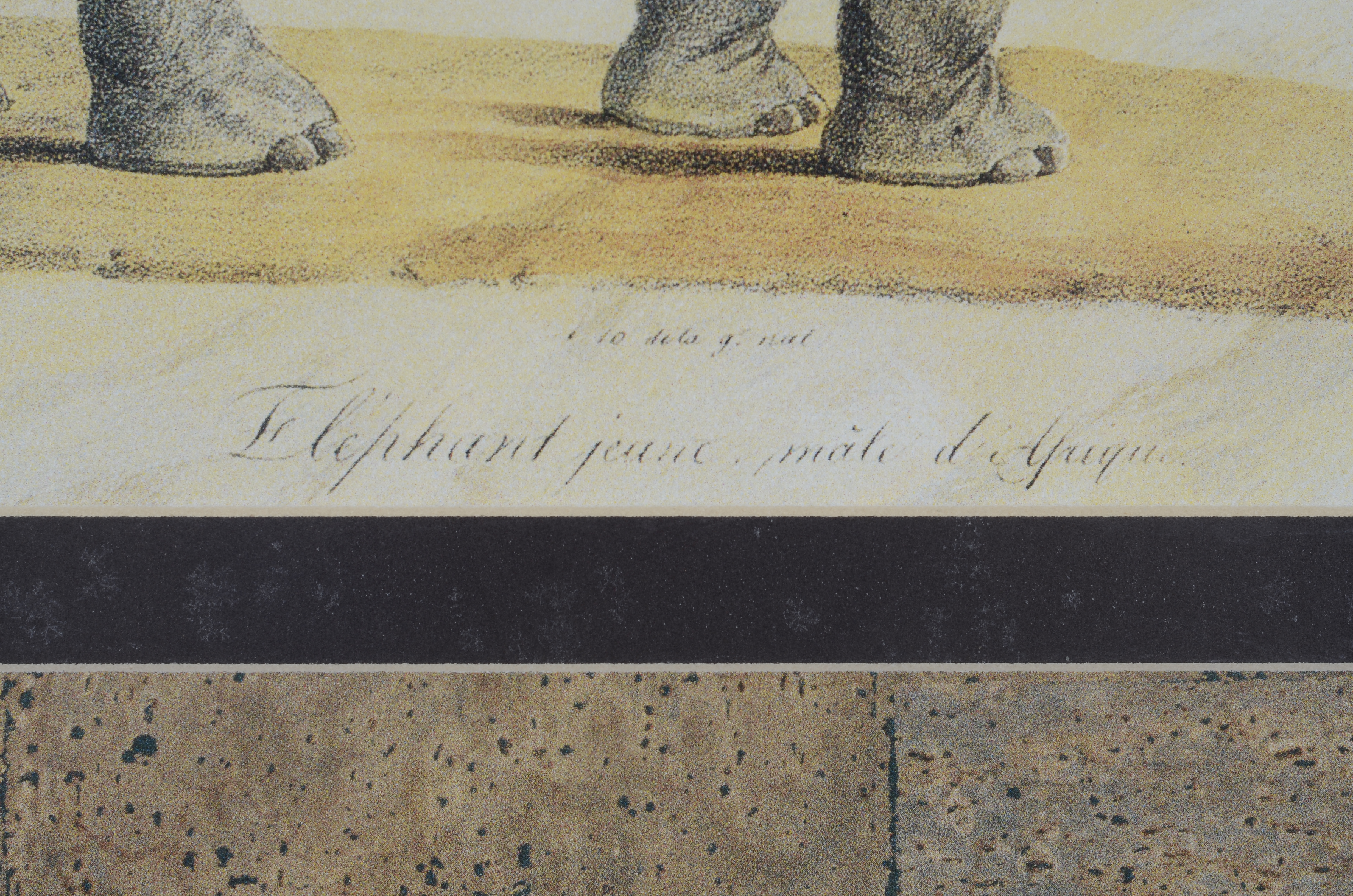 African Animal Print Pair