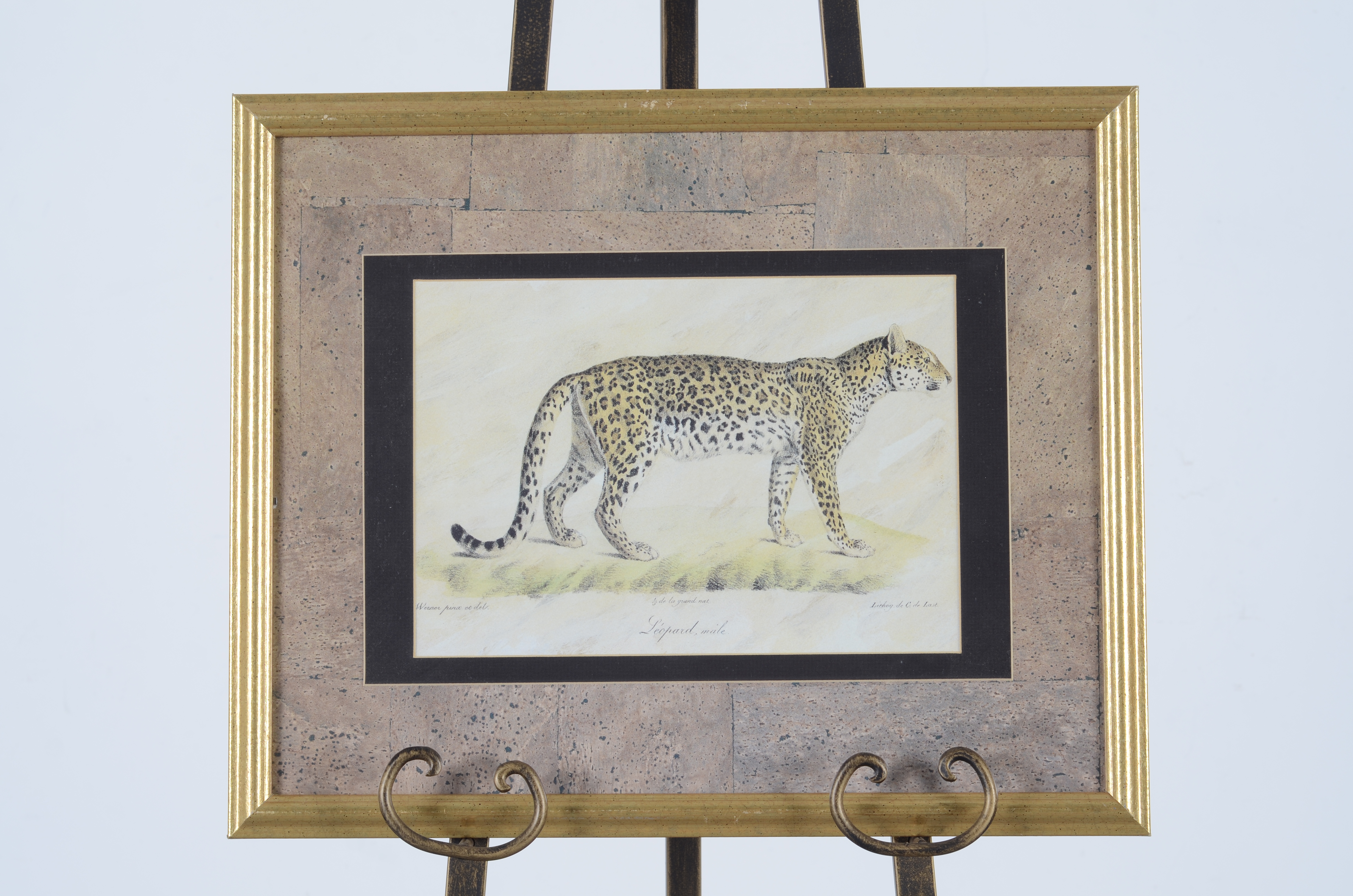 African Animal Print Pair