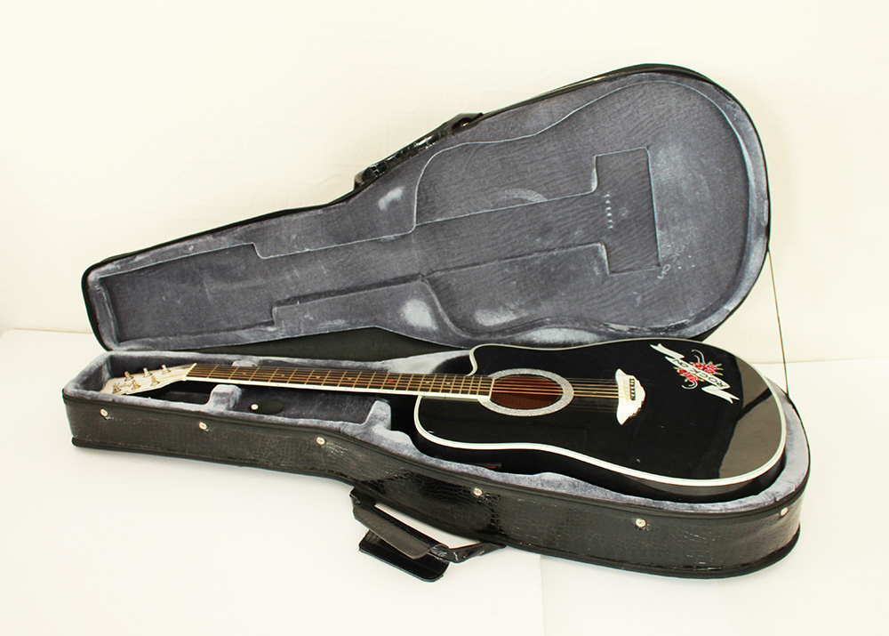 Estaban Rock On Acoustic Electric Guitar