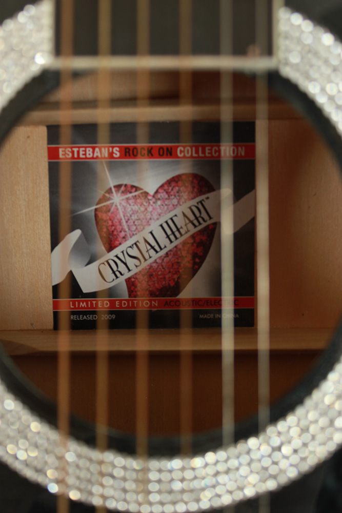 Estaban Rock On Acoustic Electric Guitar