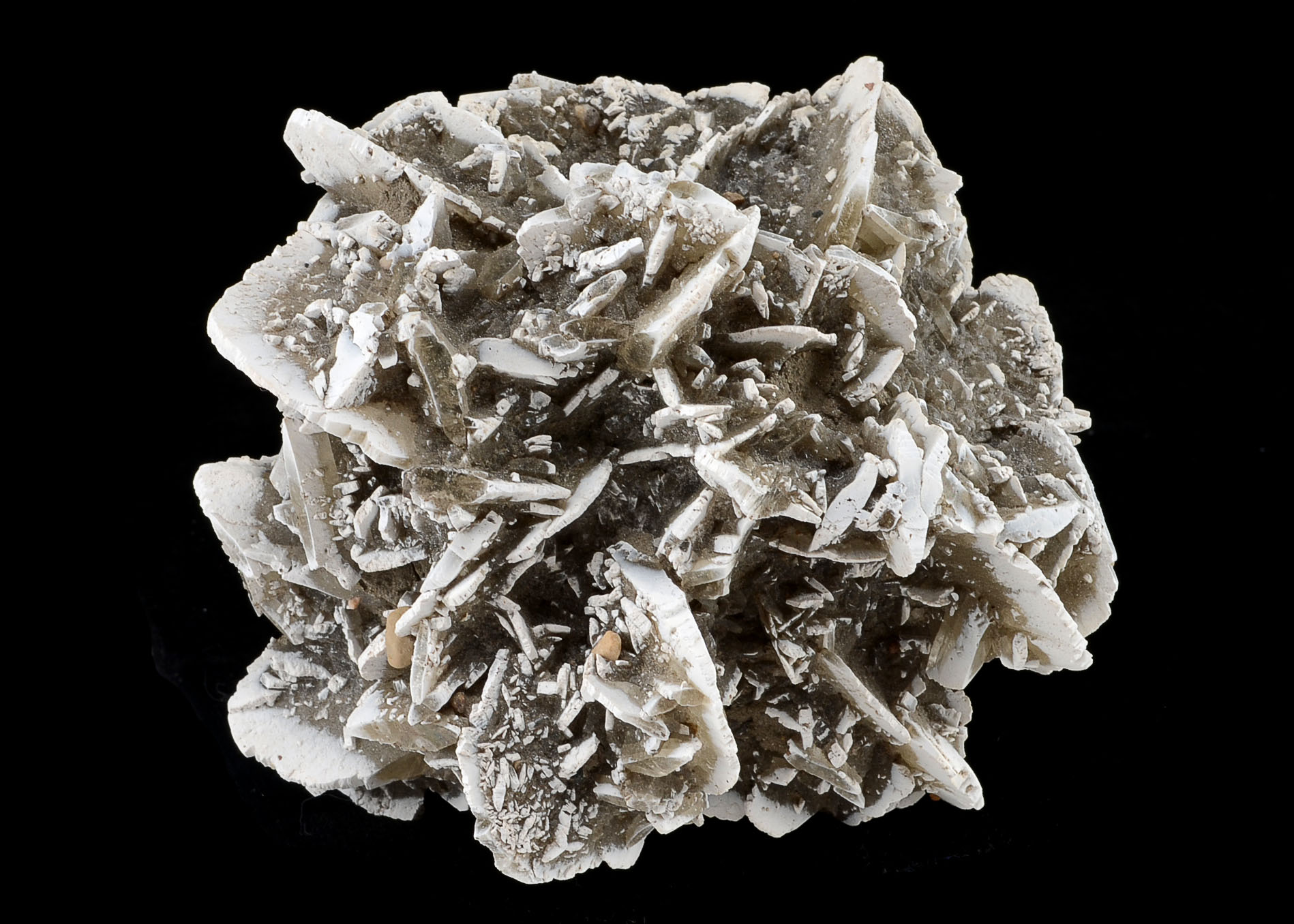 Gypsum Rosette Mineral