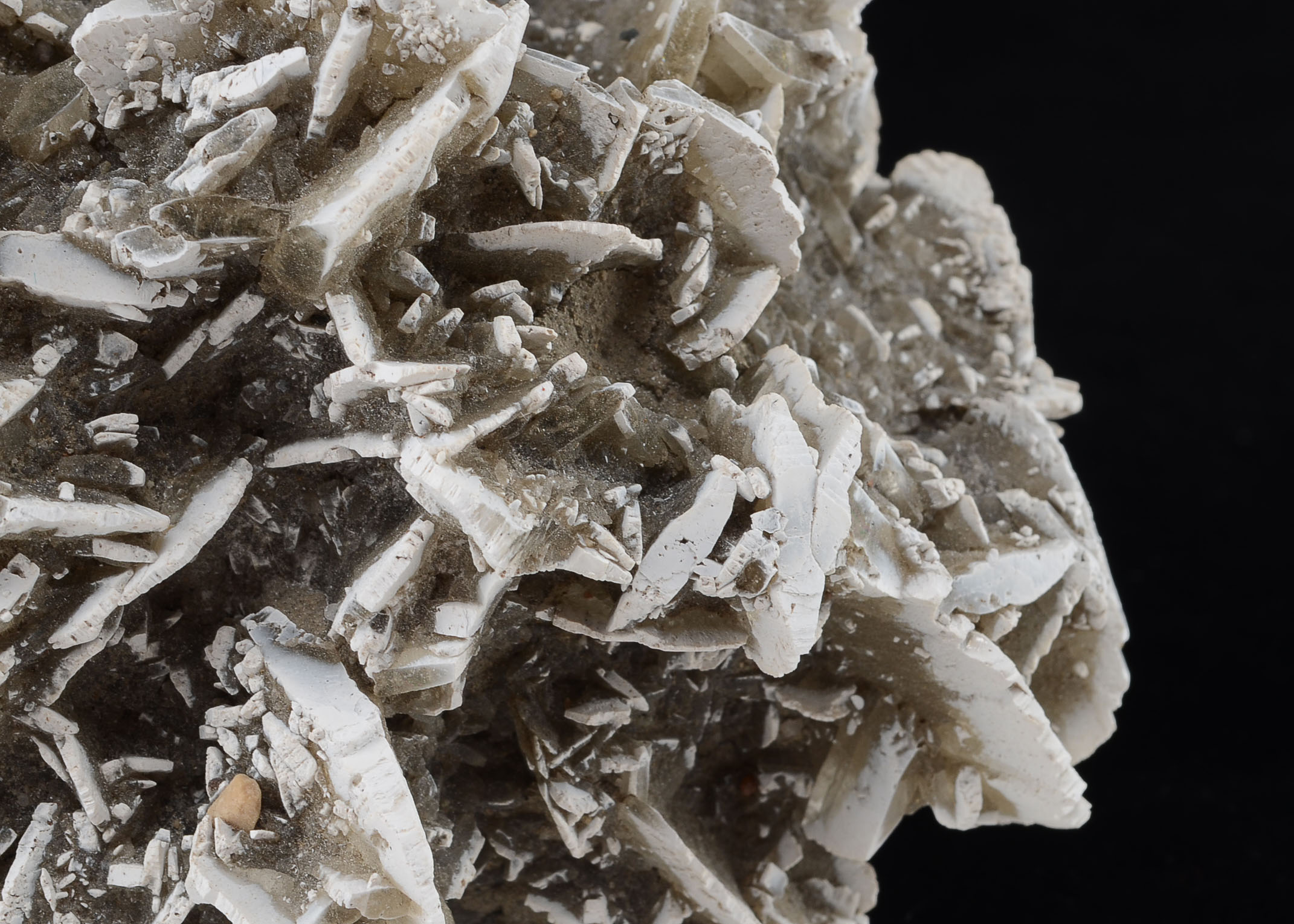 Gypsum Rosette Mineral