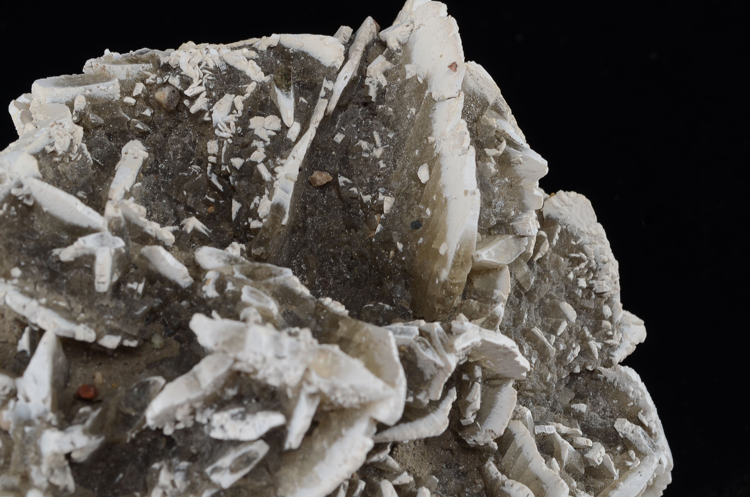Gypsum Rosette Mineral