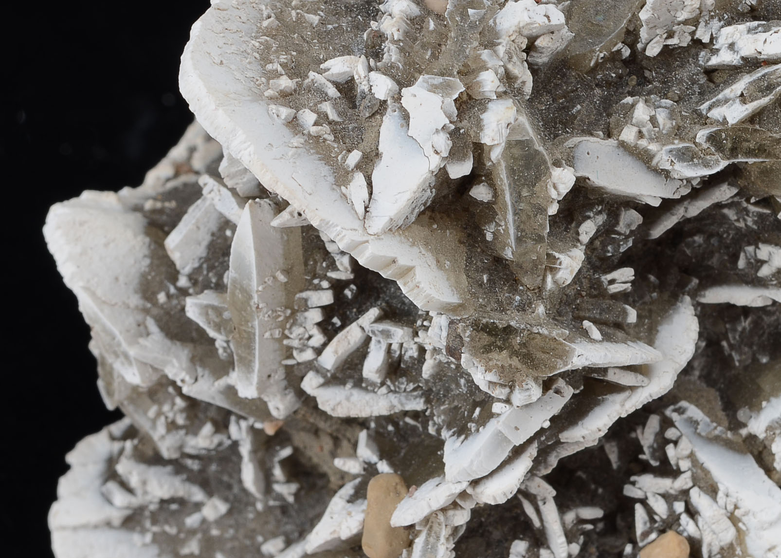 Gypsum Rosette Mineral