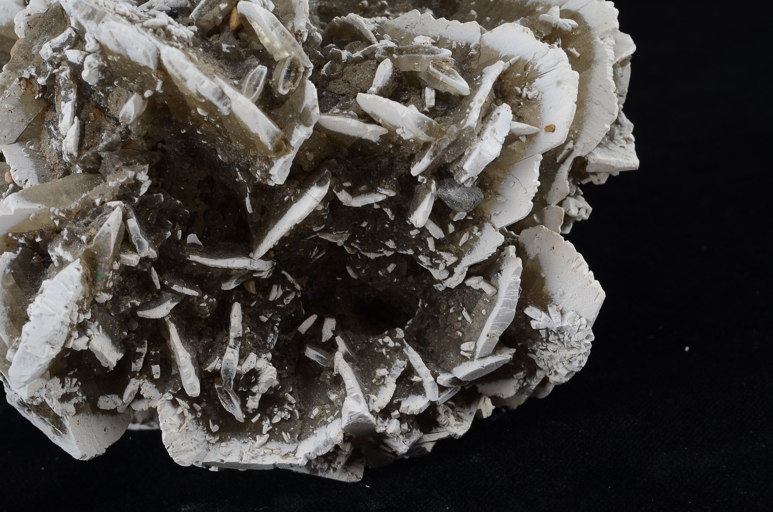Gypsum Rosette Mineral