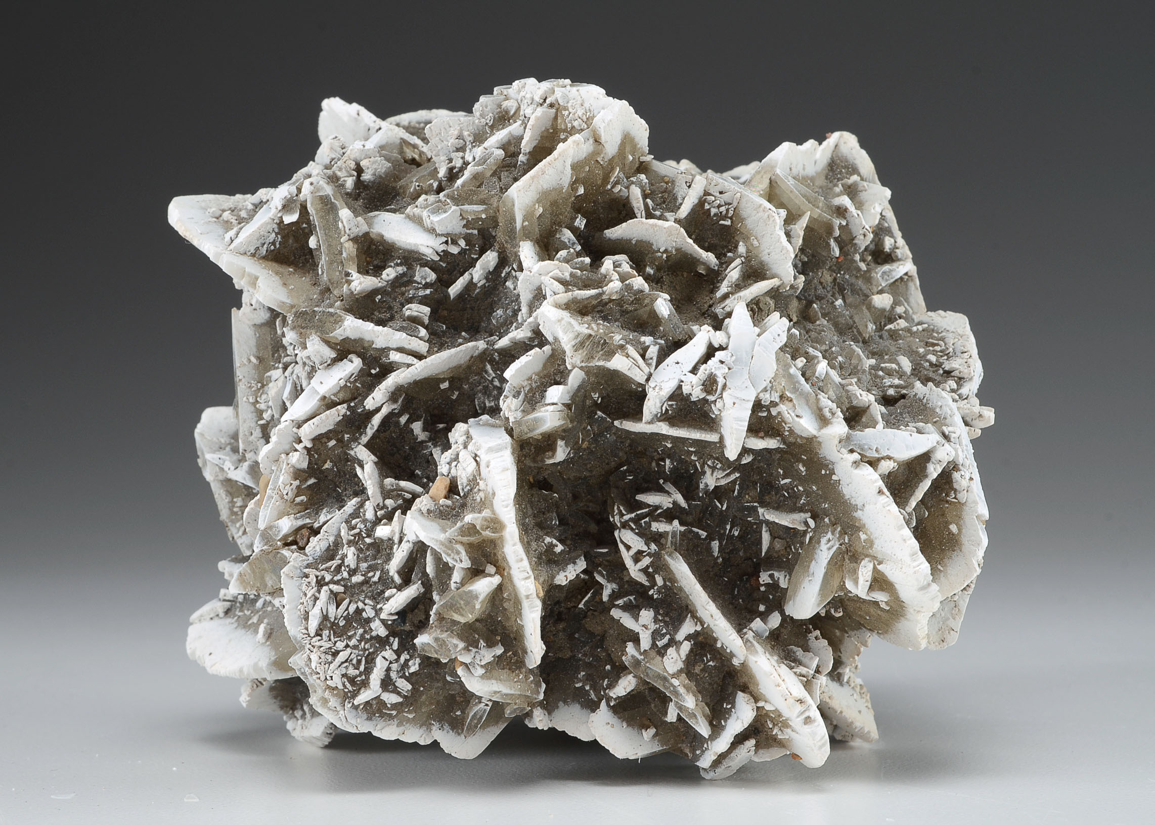 Gypsum Rosette Mineral