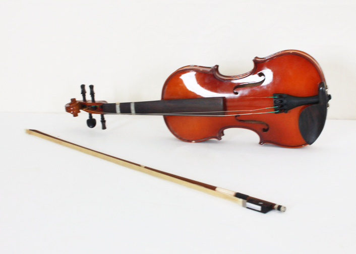 Carlo Robelli P250 Violin