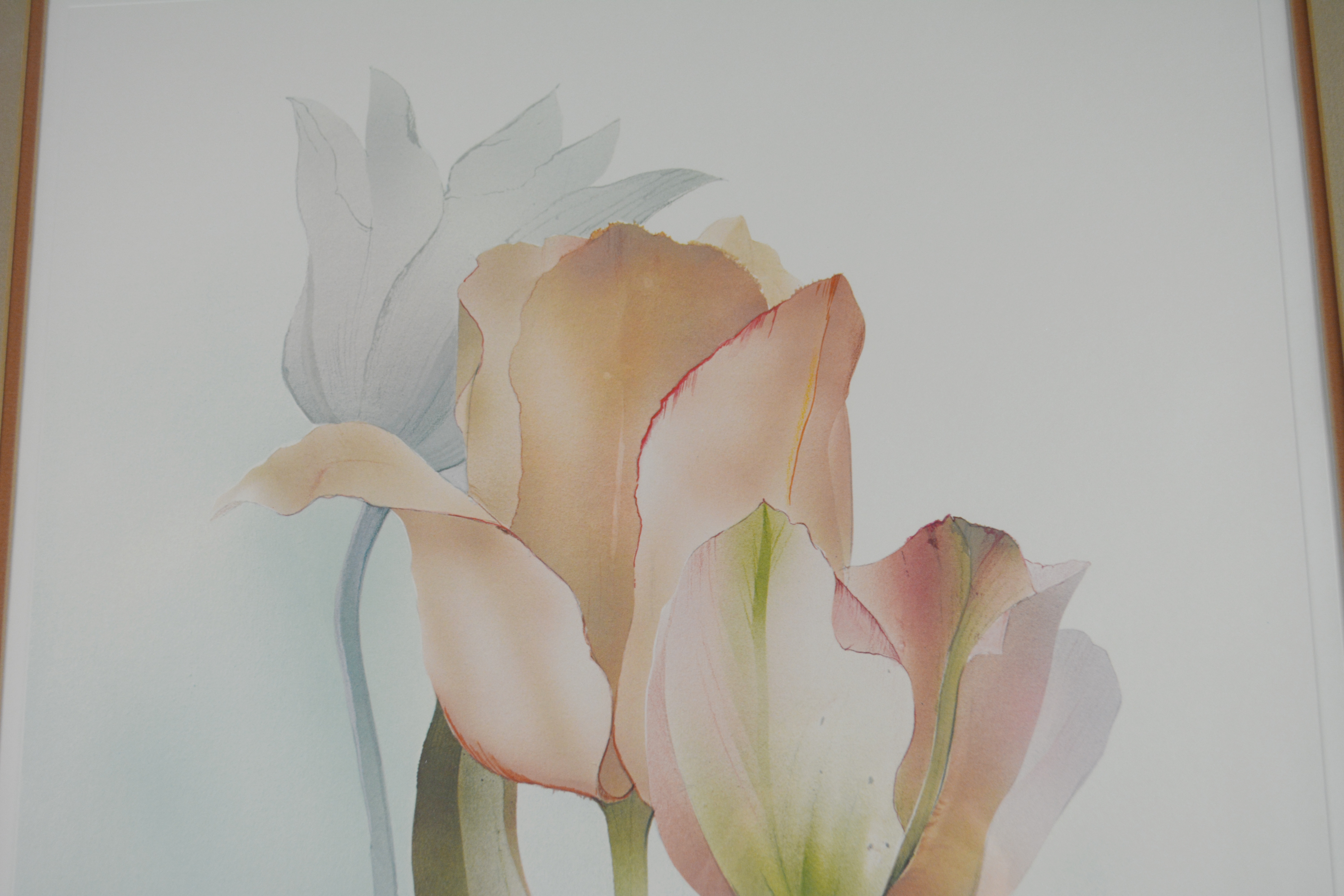 Oscar Tejeda Tulip Lithograph