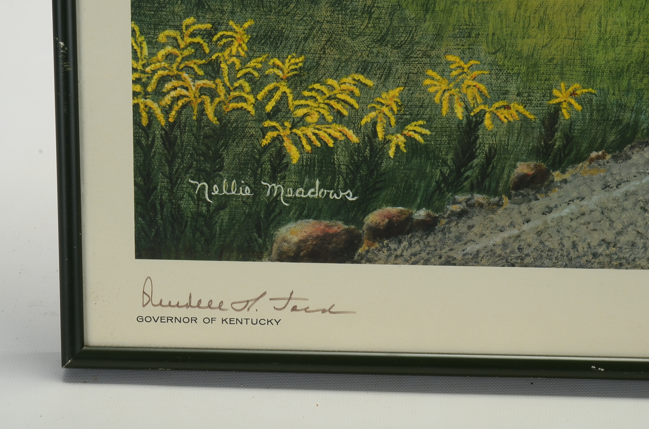 Limited Edition Nellie Meadows Print