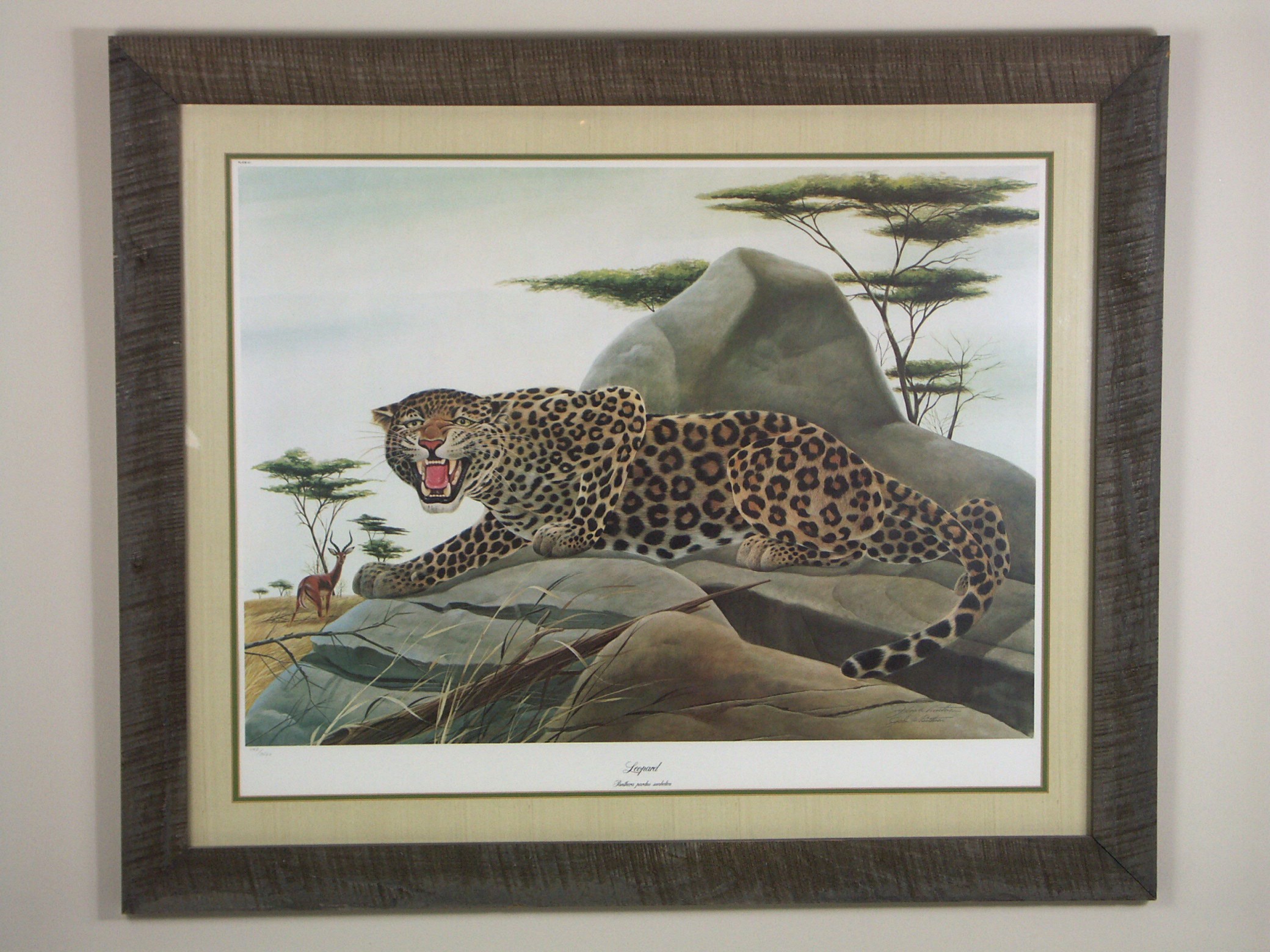 John Ruthven L/E Signed Print - 'Leopard'