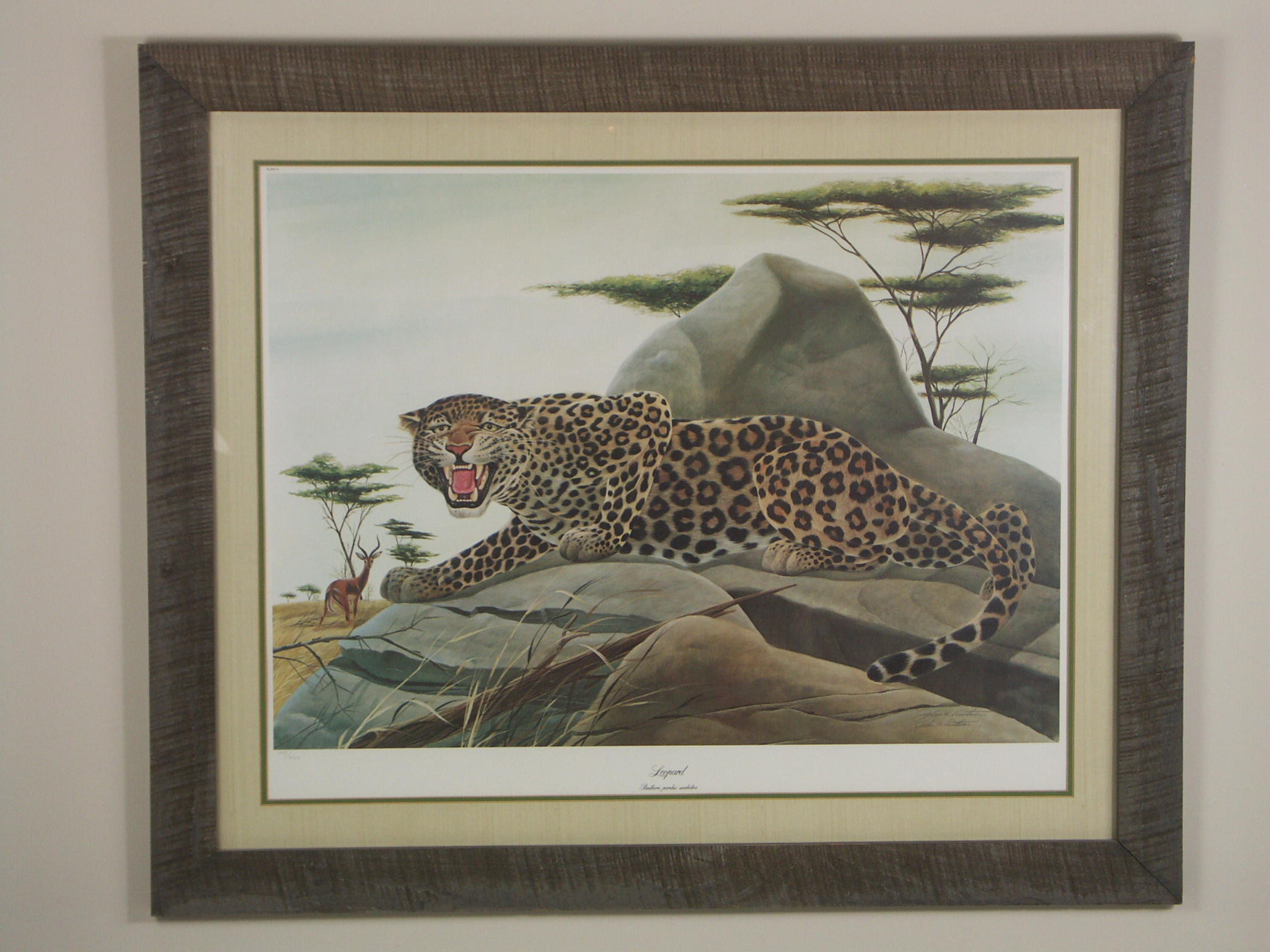 John Ruthven L/E Signed Print - 'Leopard'