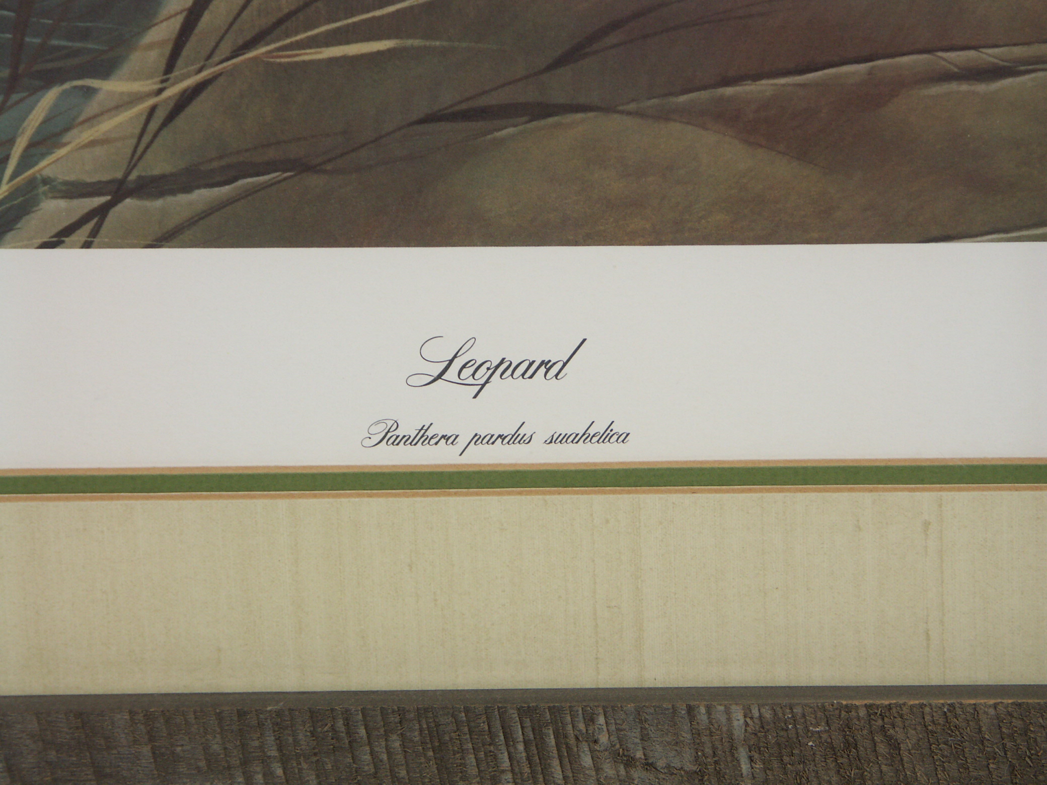 John Ruthven L/E Signed Print - 'Leopard'