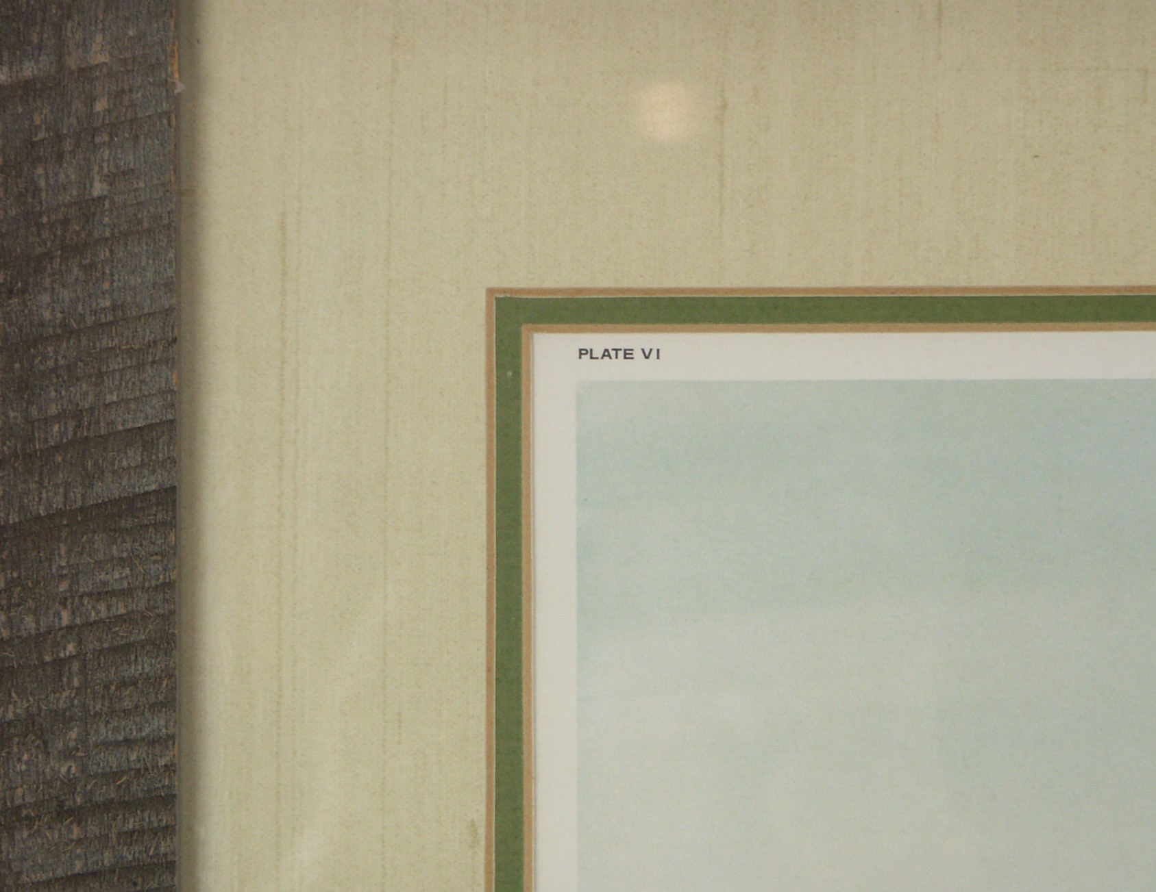 John Ruthven L/E Signed Print - 'Leopard'