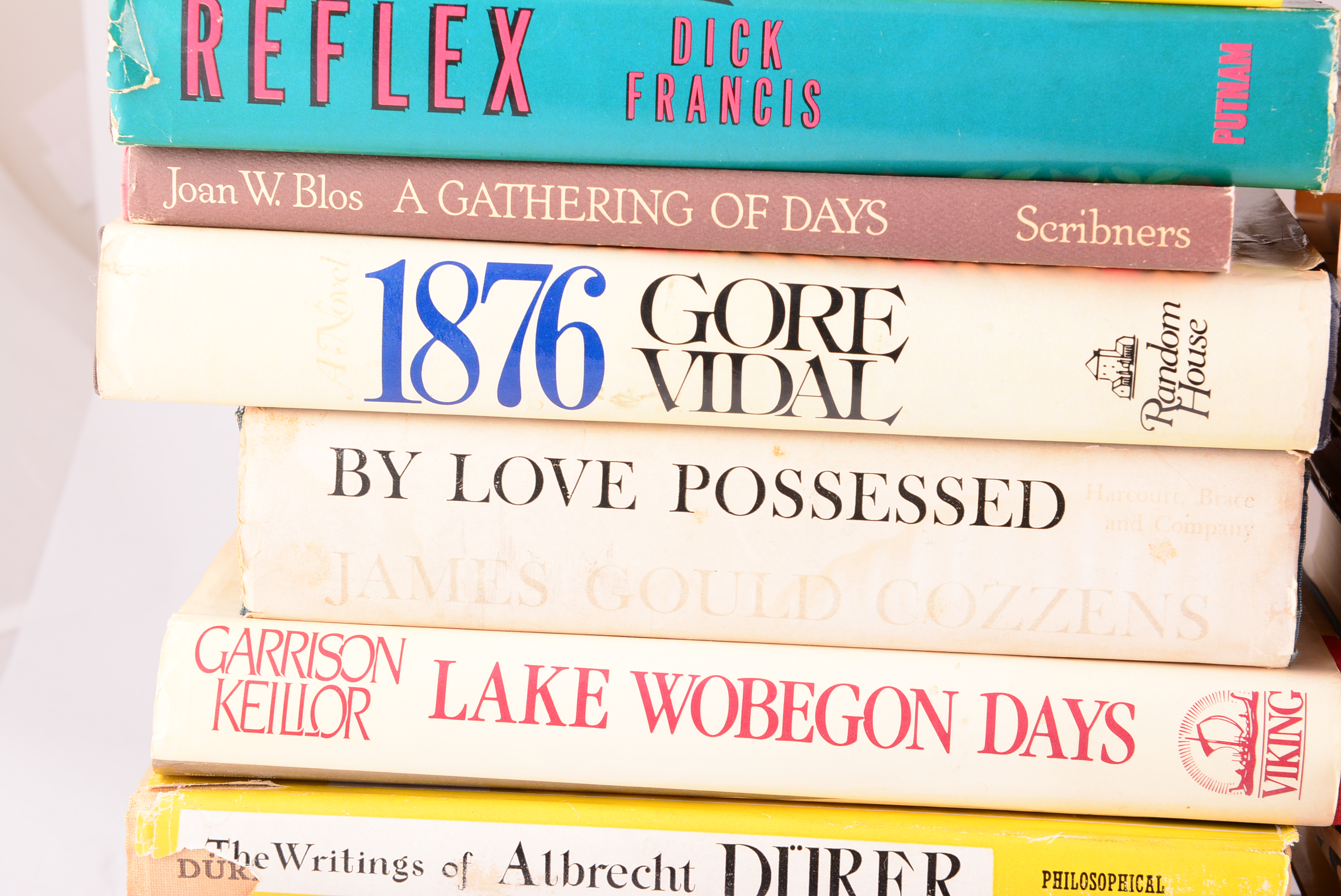 Collection of Modern Novels and Literature