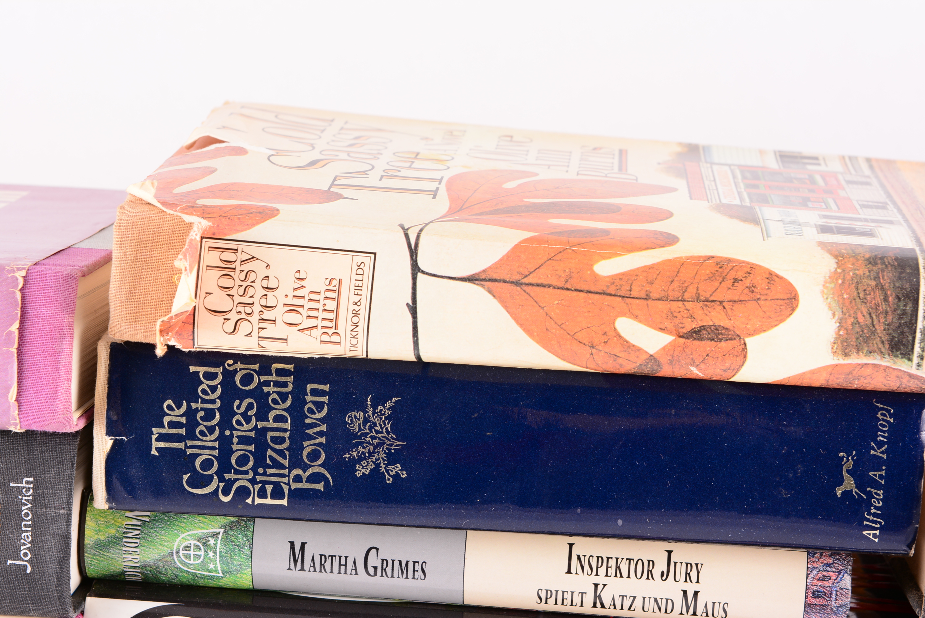 Collection of Modern Novels and Literature