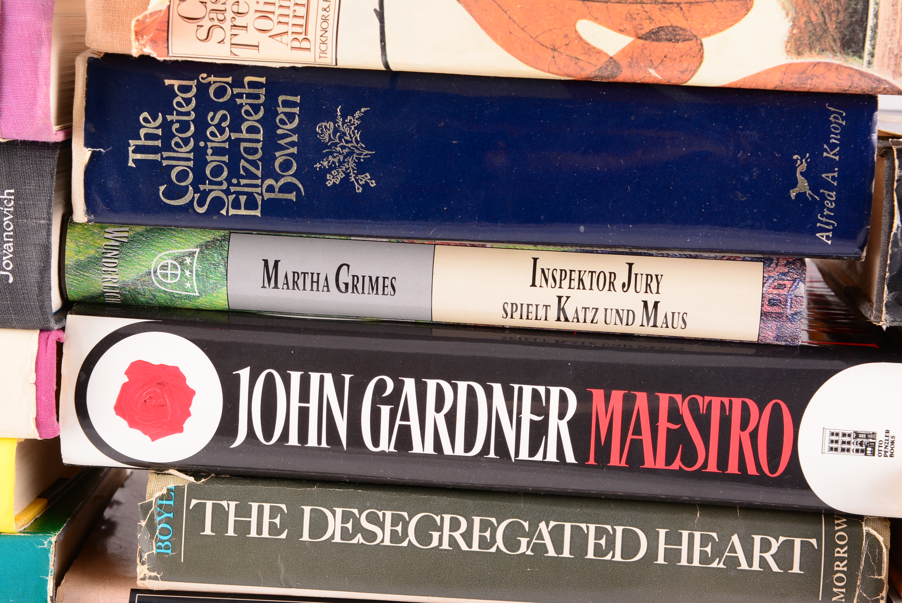 Collection of Modern Novels and Literature