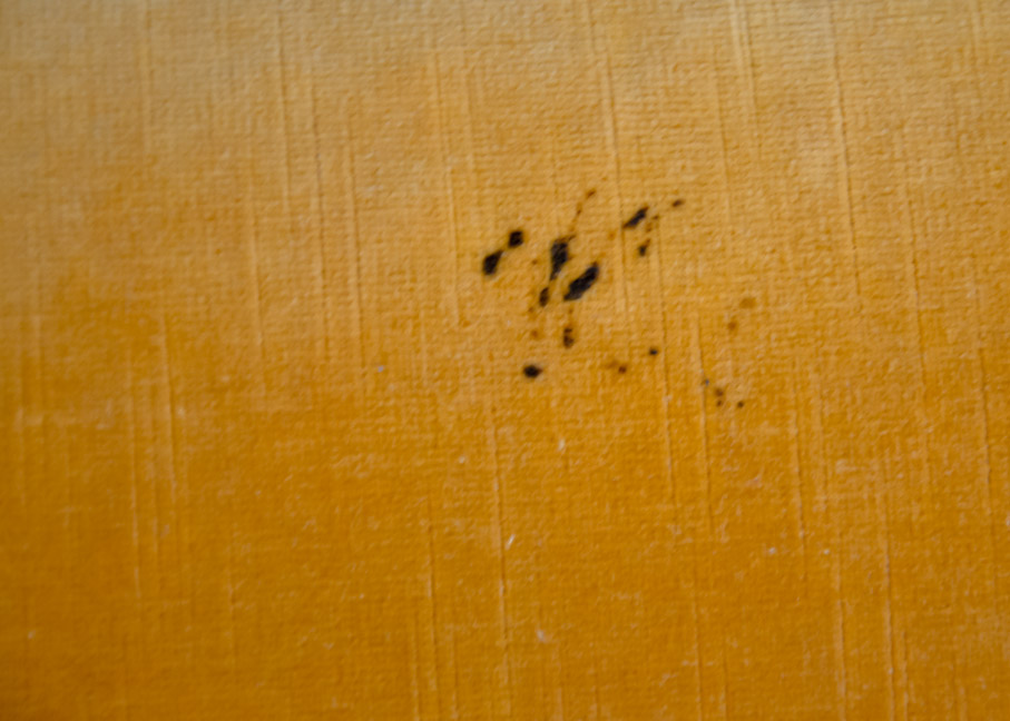 Three Piece Circular Sectional Sofa