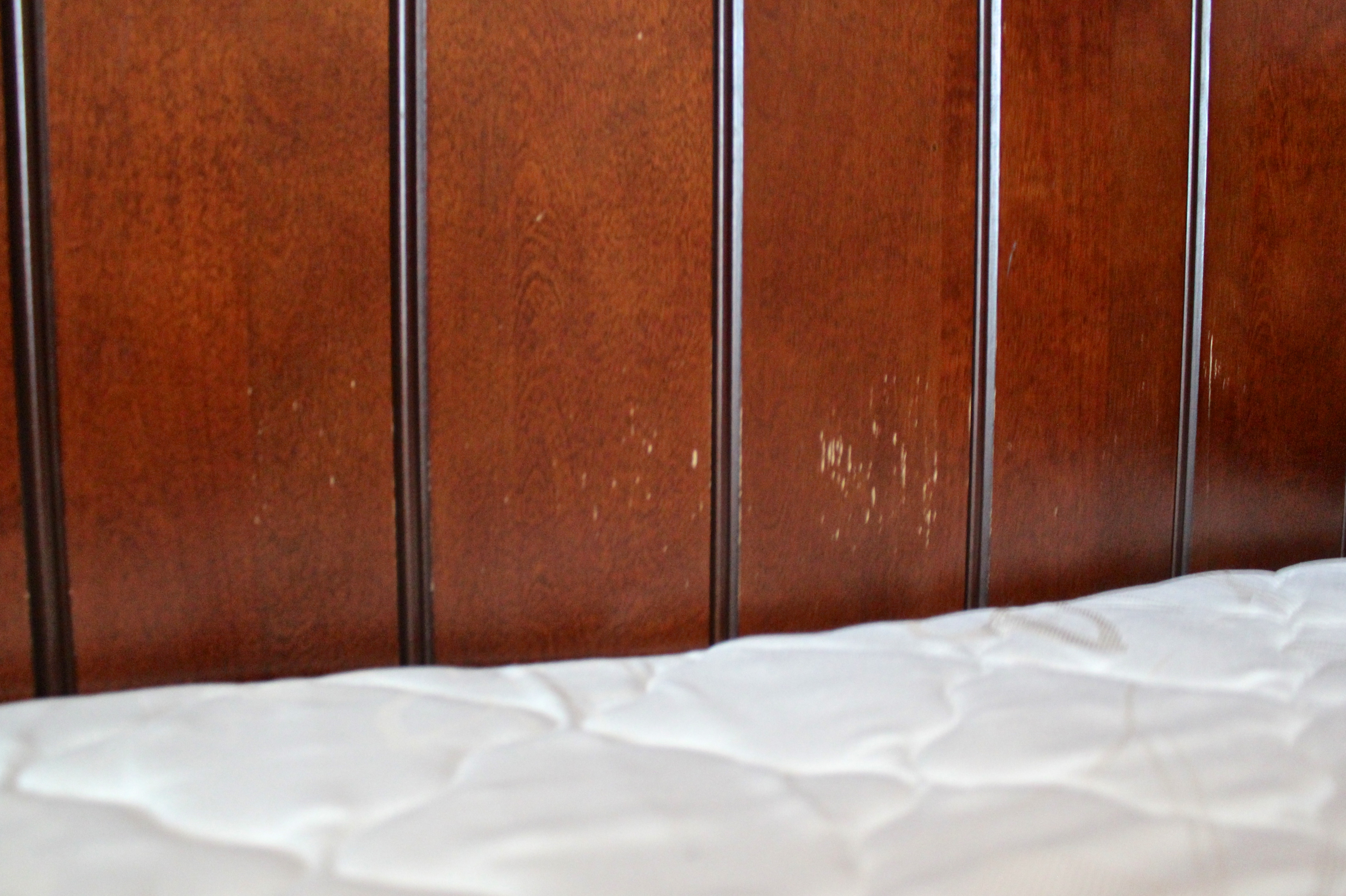 Pottery Barn Kids "Riley" Trundle Bed Set