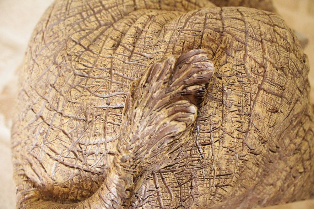 Good Fortune Elephant Side Table