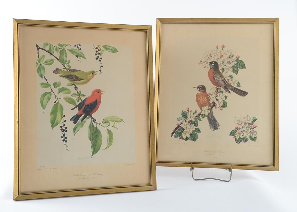 James Gordon Irving Bird Prints c. 1950