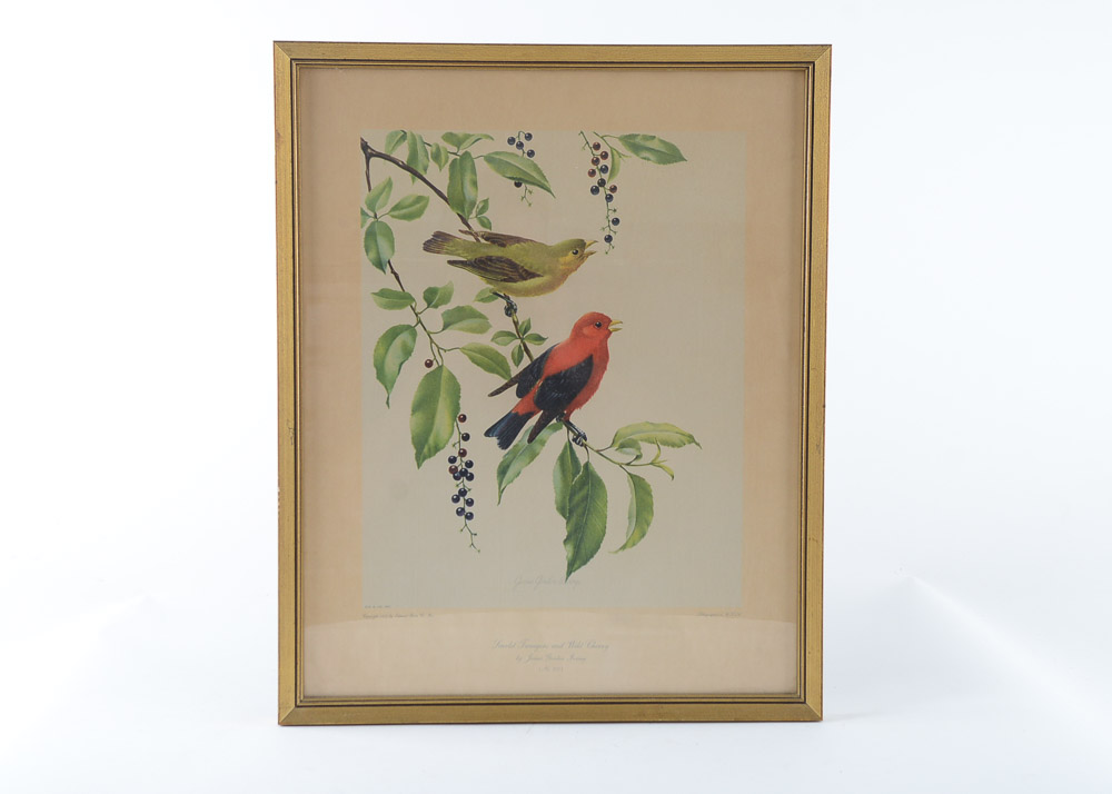 James Gordon Irving Bird Prints c. 1950
