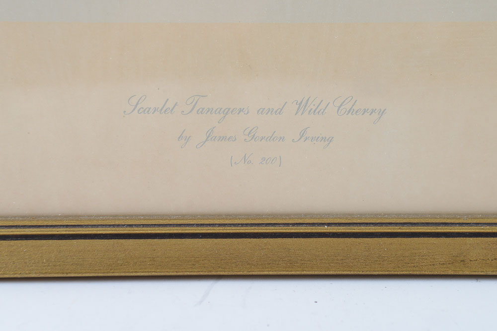 James Gordon Irving Bird Prints c. 1950