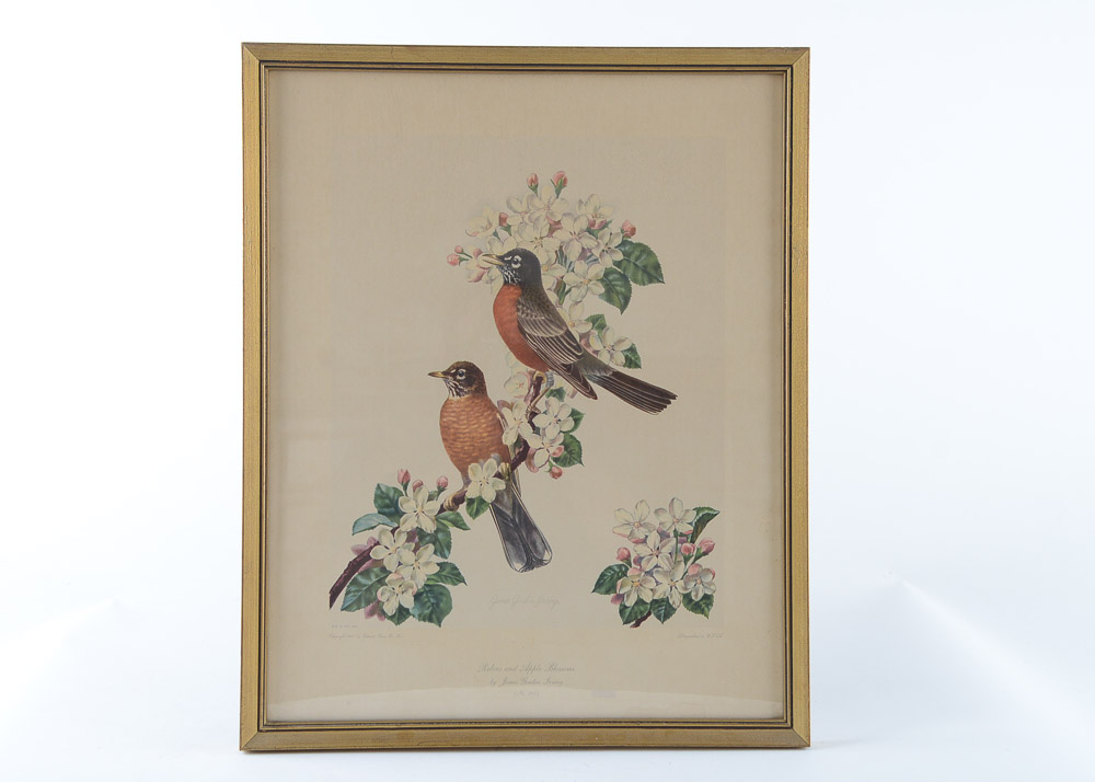 James Gordon Irving Bird Prints c. 1950